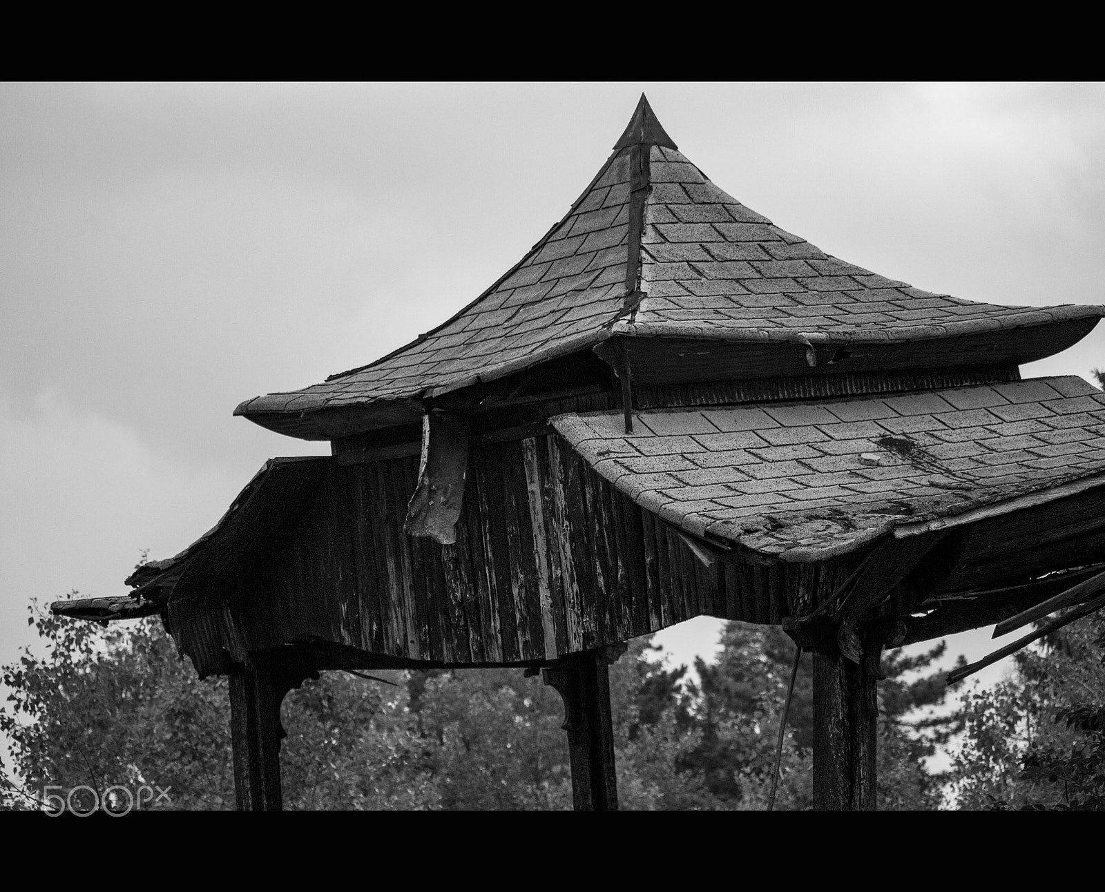 Canon EF-S 55-250mm F4-5.6 IS STM sample photo. Isolation photography
