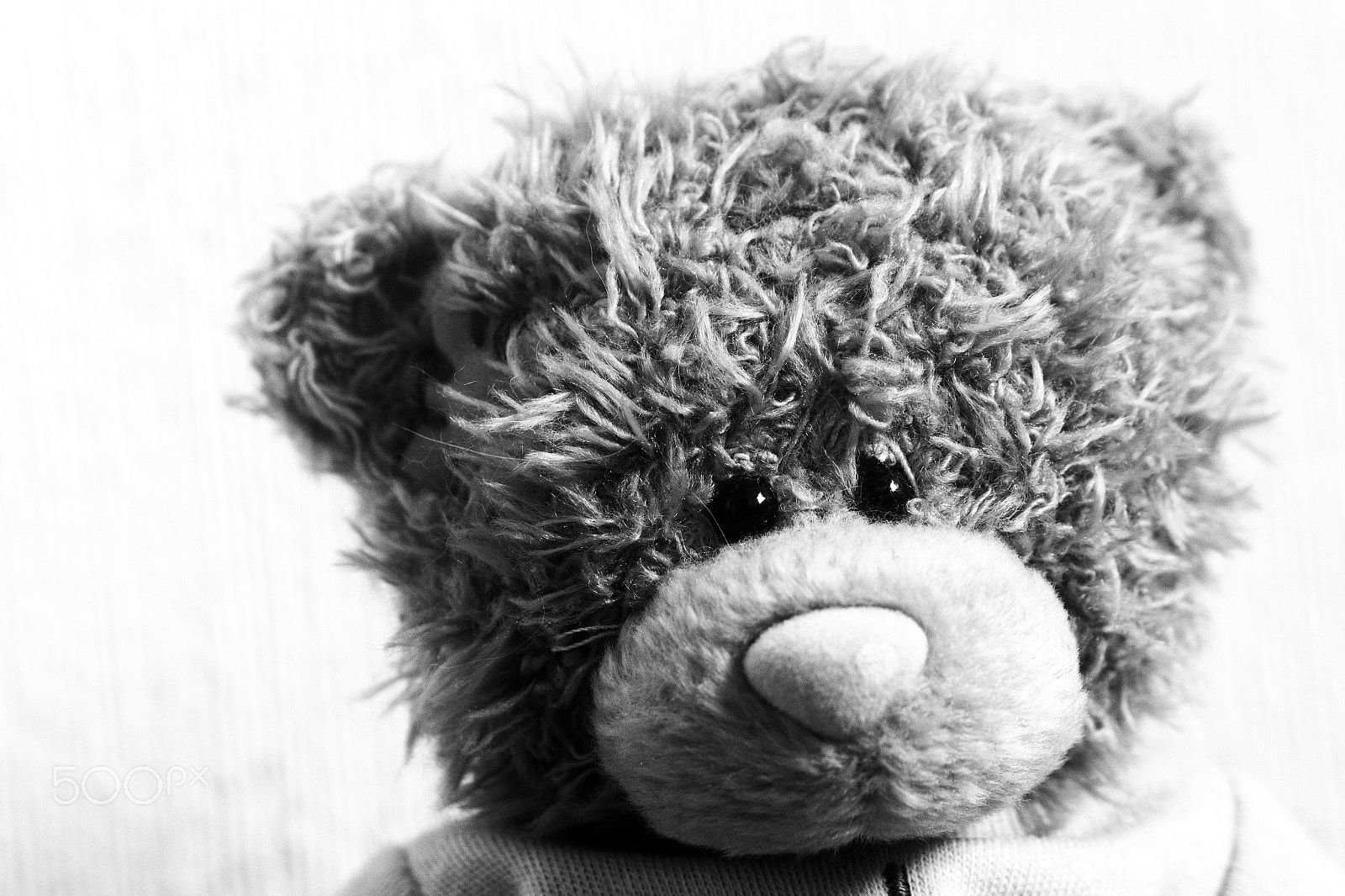 Samsung NX1100 sample photo. Teddy bear photography