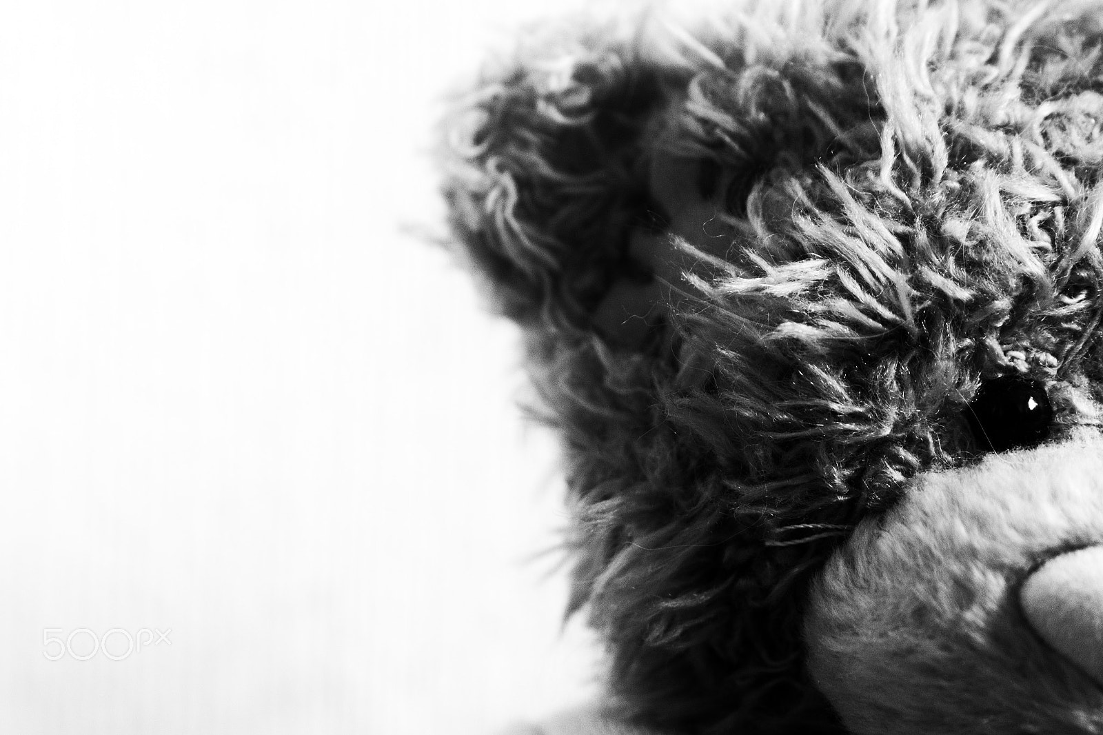 Samsung NX1100 sample photo. Teddy bear portrait photography