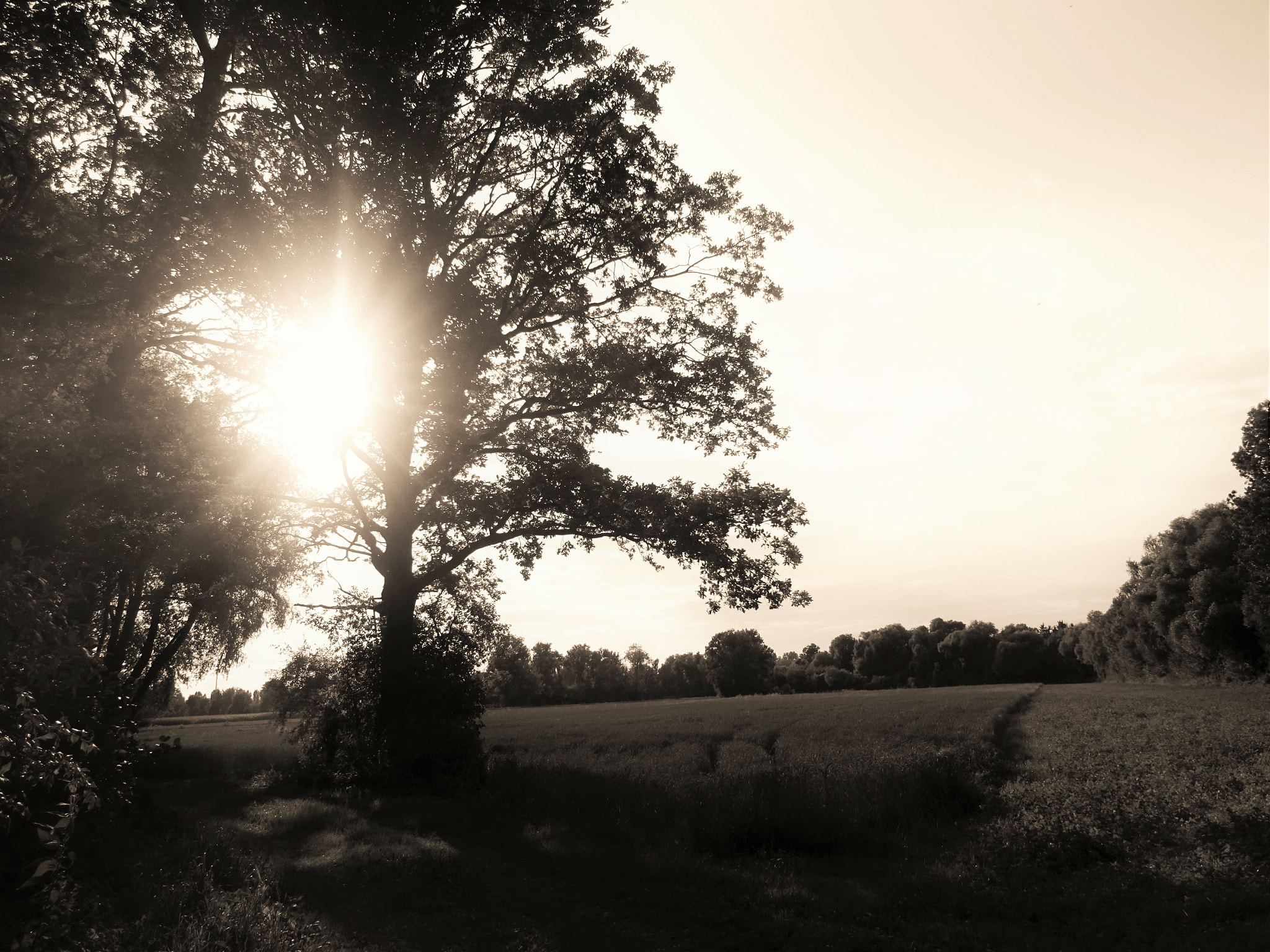 Sony Cyber-shot DSC-WX220 sample photo. Summer landscape photography