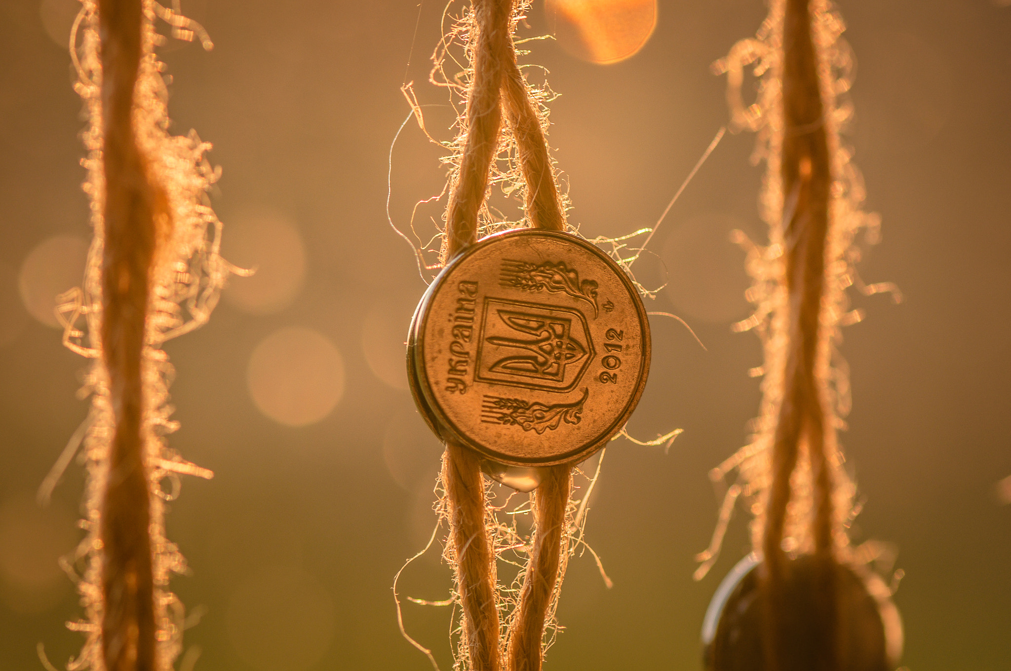 Nikon AF-S Micro-Nikkor 105mm F2.8G IF-ED VR sample photo. Coin. Монетка. photography