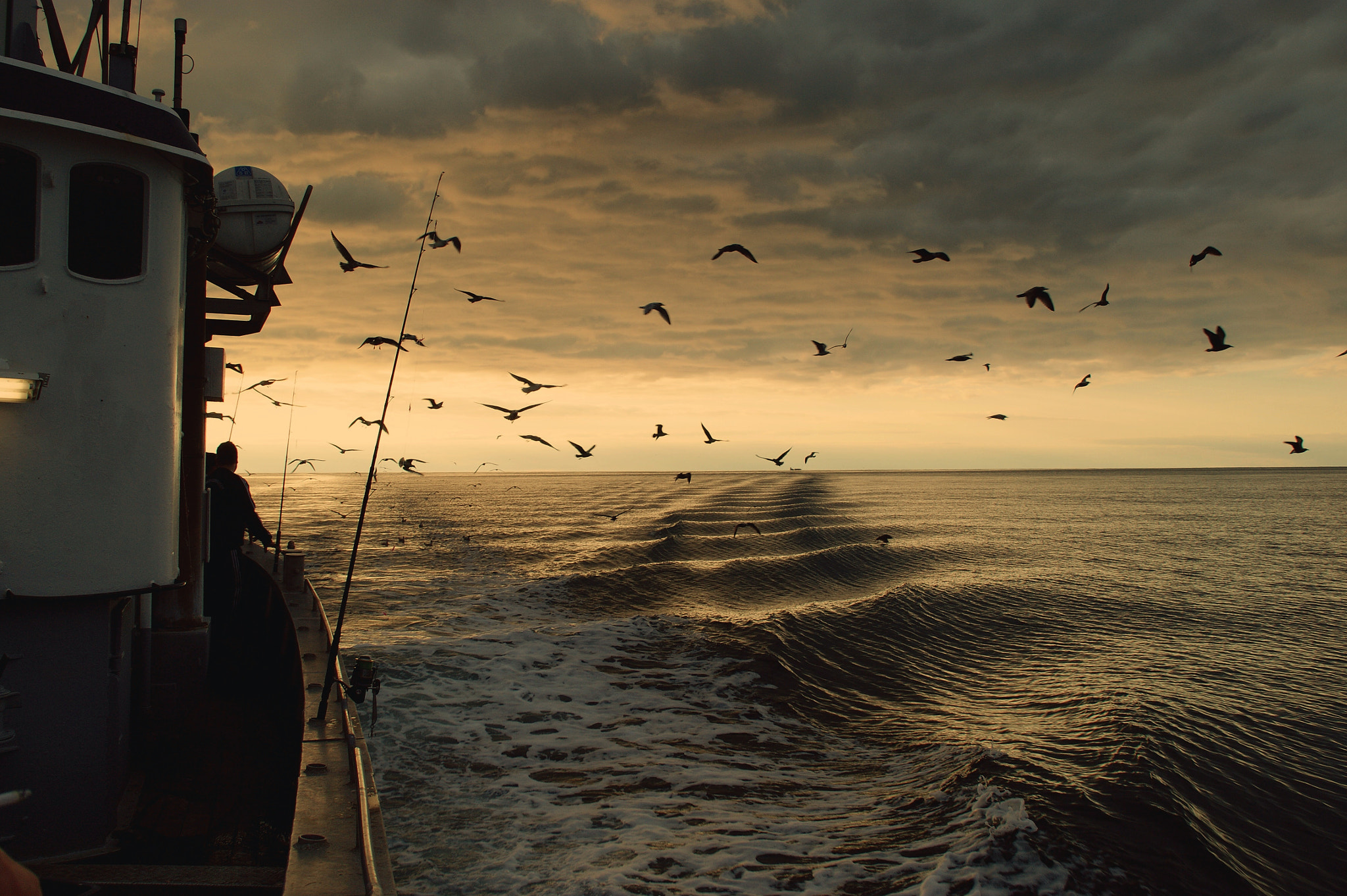 Sony Alpha DSLR-A290 sample photo. Fishingtrip photography