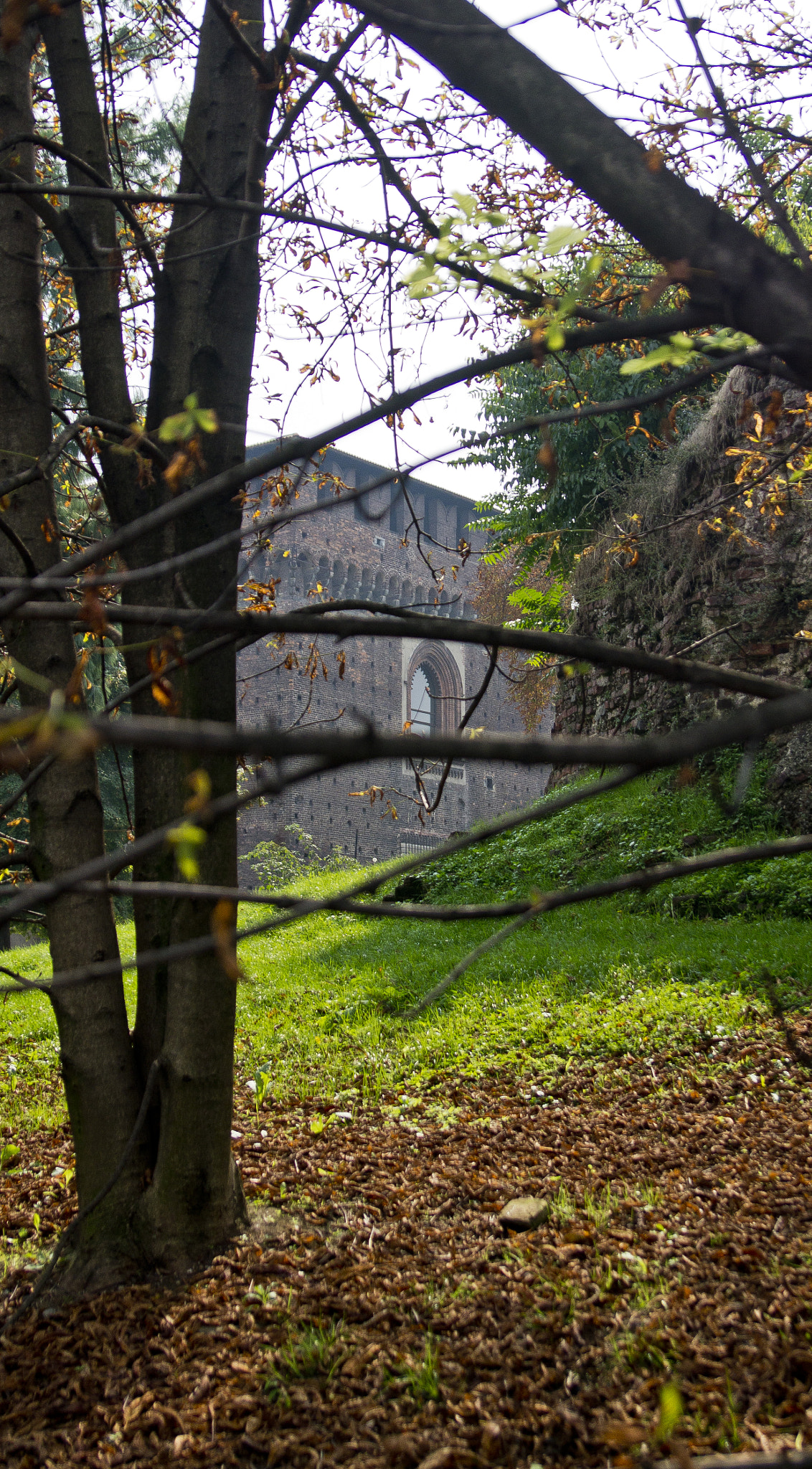 Sony Alpha DSLR-A580 + Sony 28-75mm F2.8 SAM sample photo. Sforza castle photography