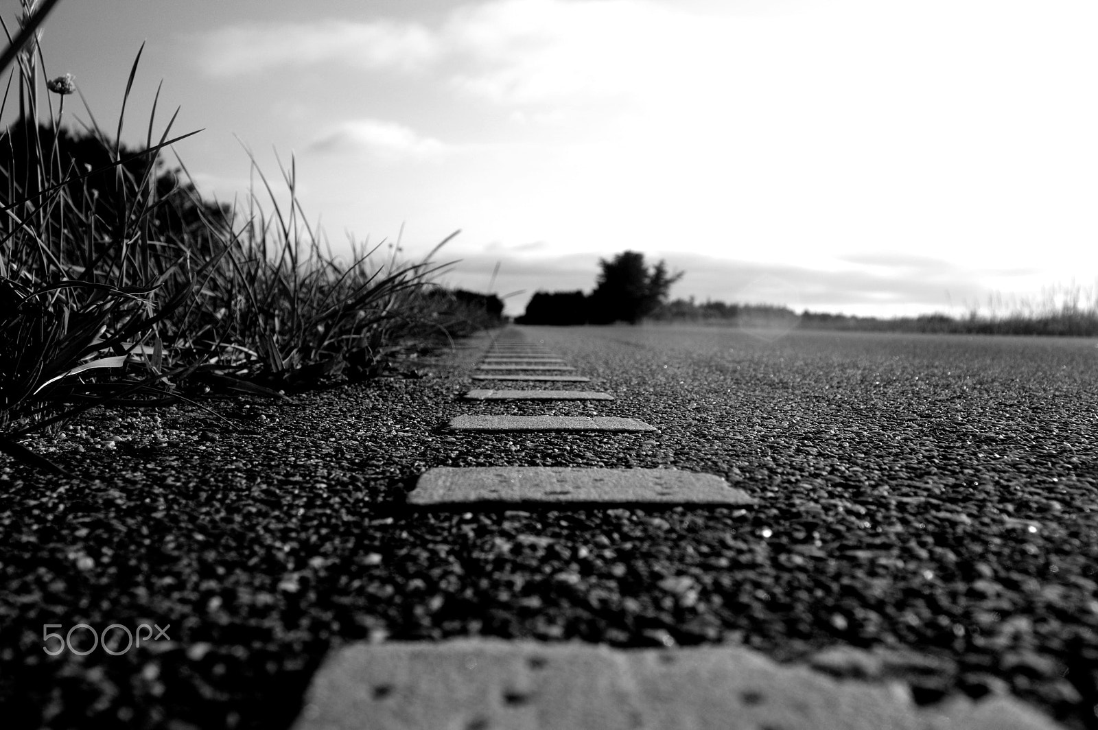 Sigma 18-200mm F3.5-6.3 DC sample photo. My way ... photography