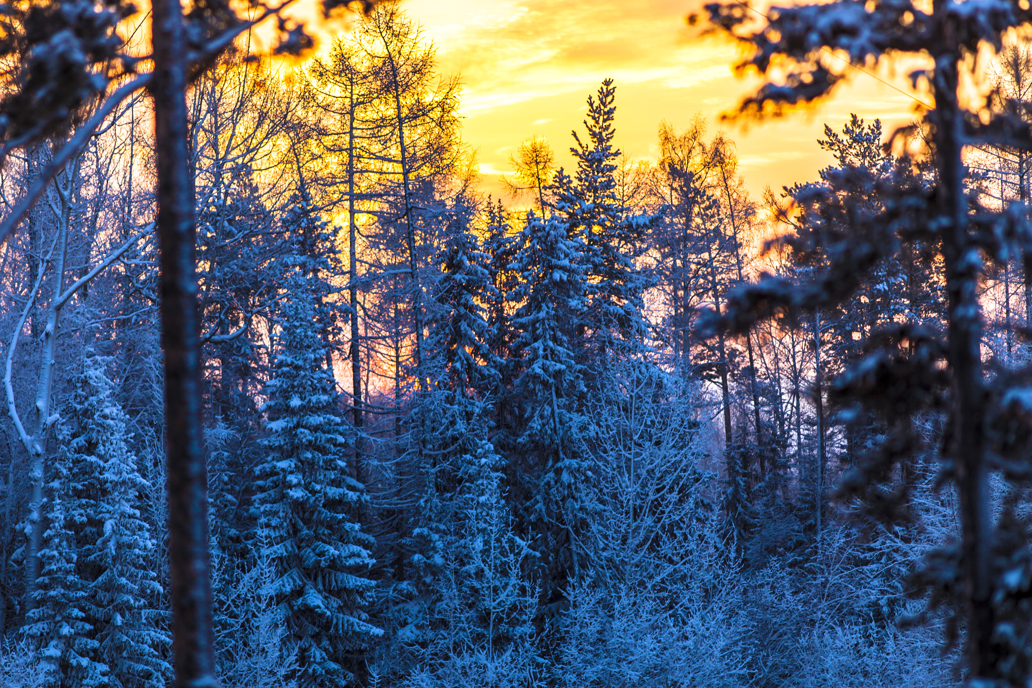 Canon EOS 5D Mark II sample photo. Magic sunset in cold winter day photography