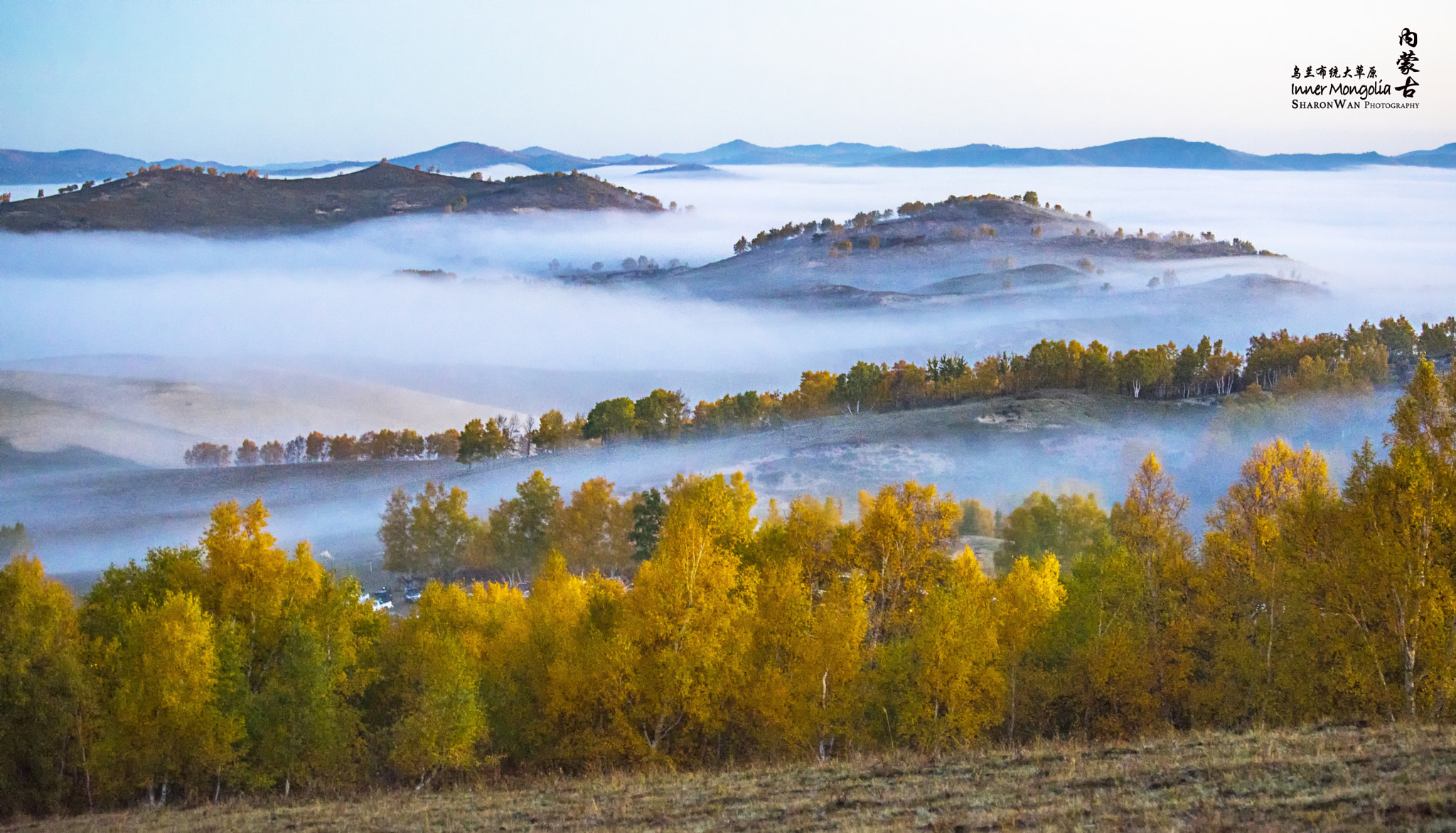 Sony a7 II + Canon EF 70-200mm F4L IS USM sample photo. Golden autumn photography