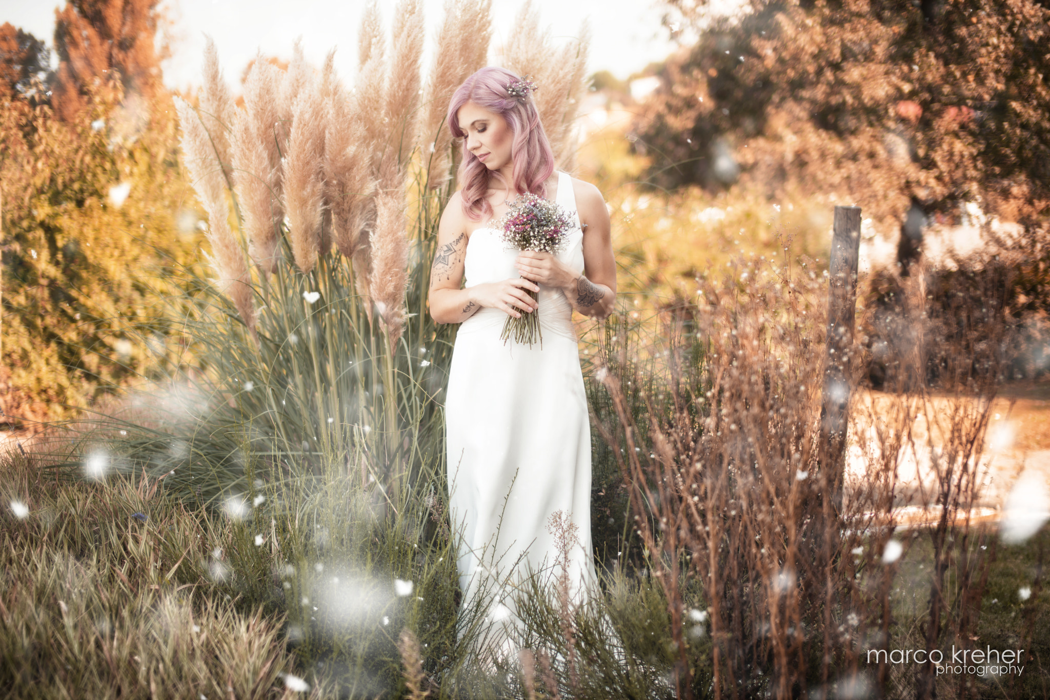 Sigma 50mm F1.4 EX DG HSM sample photo. Zuckerlibelle photography