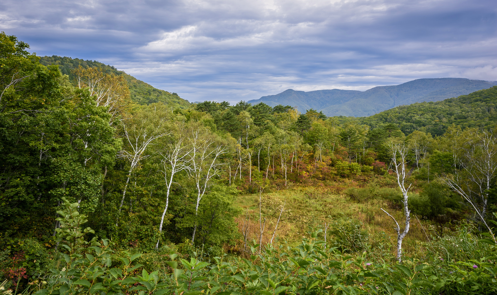 Nikon AF-S Nikkor 24mm F1.8G ED sample photo. The siga highlands photography