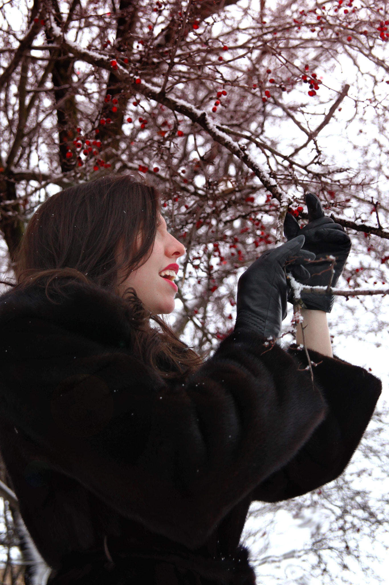 Canon EF 24-85mm F3.5-4.5 USM sample photo. Img photography