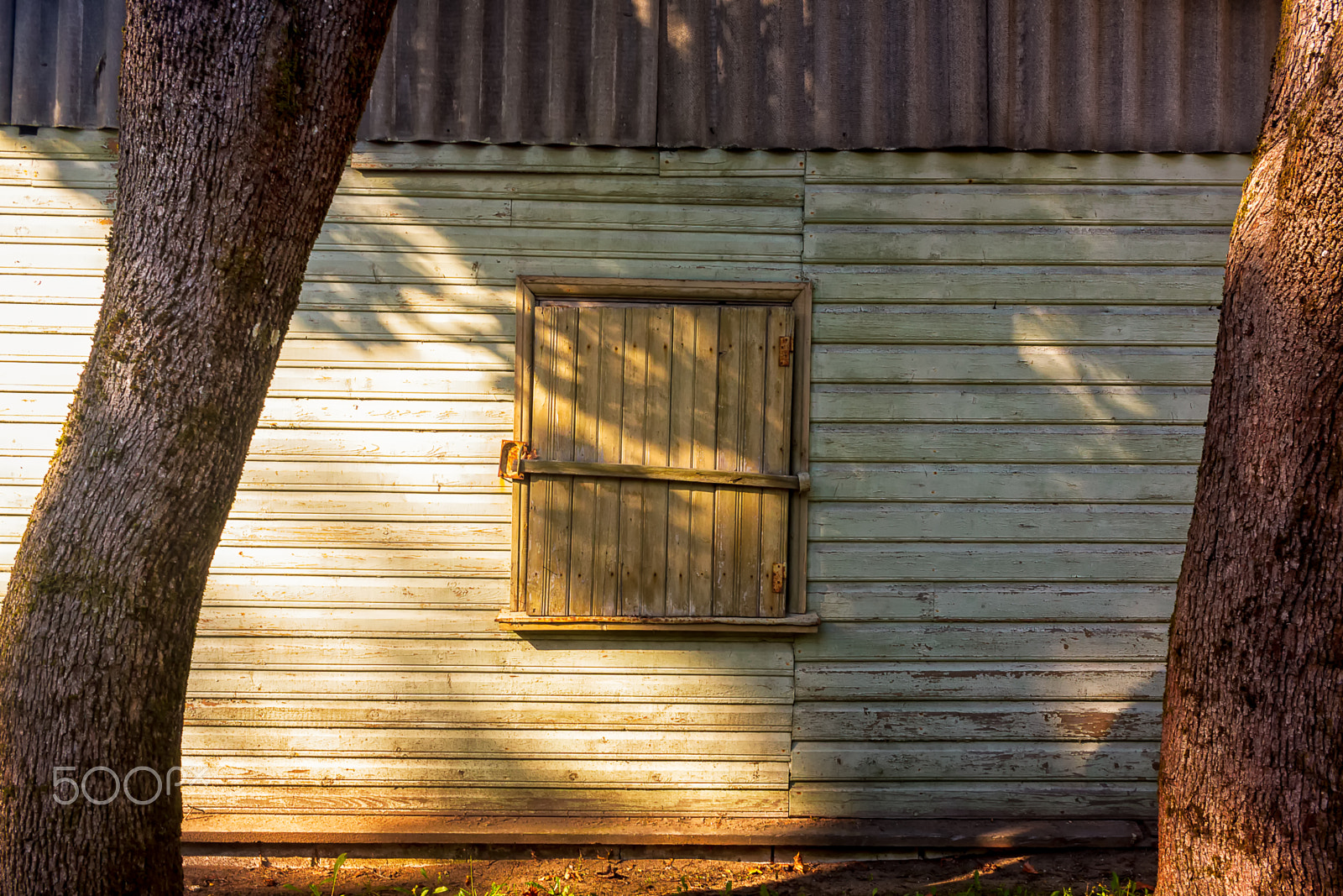 Canon EOS 50D + Canon EF-S 24mm F2.8 STM sample photo. Closed window between the trees photography