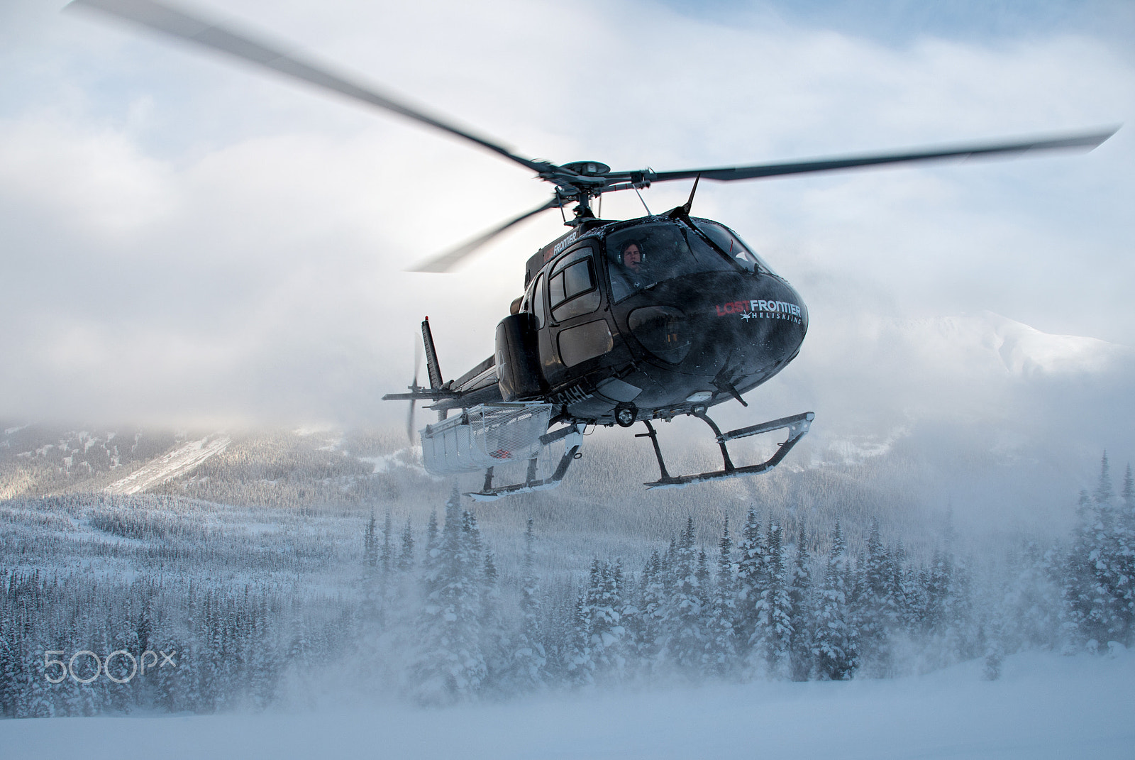 Pentax K-50 + Sigma sample photo. Powdery landing photography