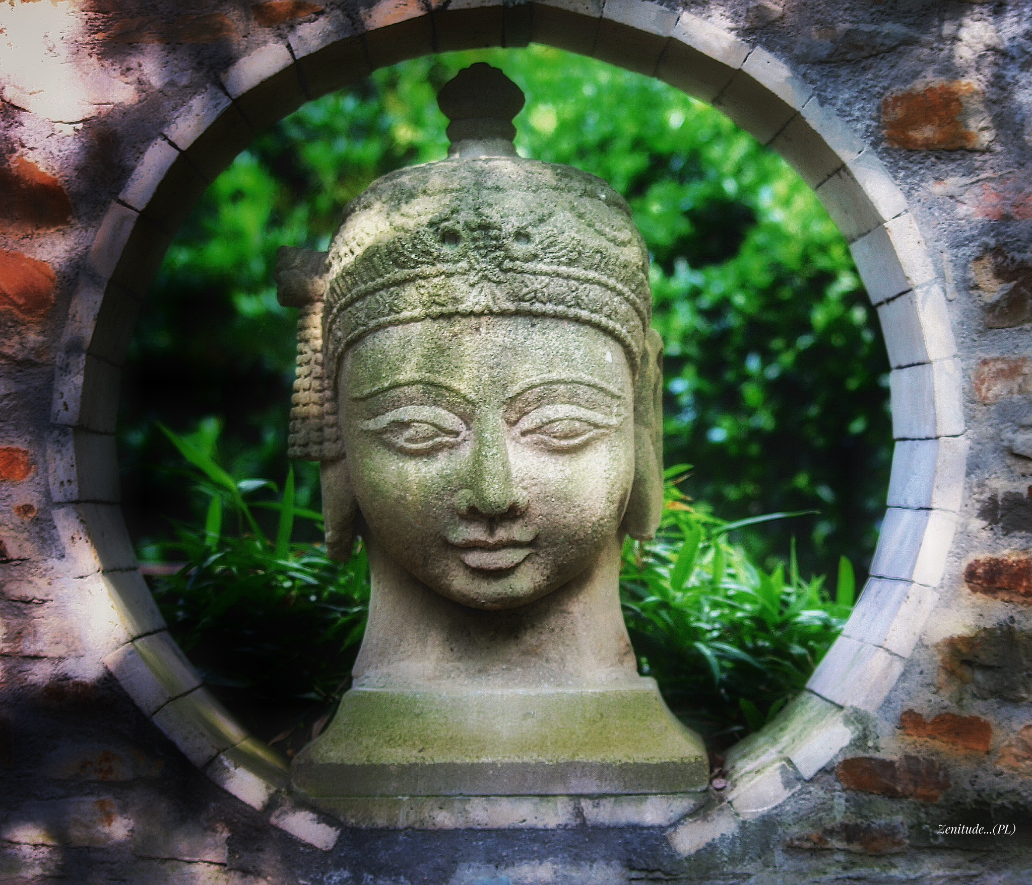 Canon 70-300mm sample photo. Zen... photography