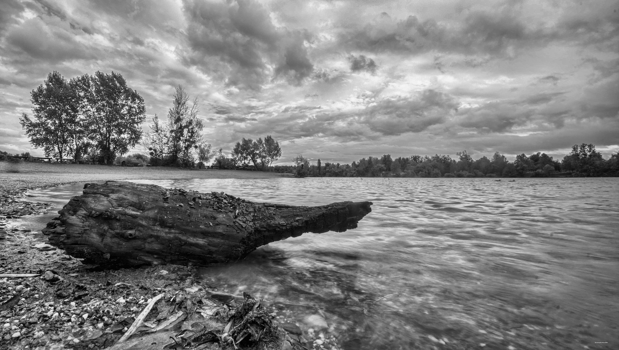 Sigma 8-16mm F4.5-5.6 DC HSM sample photo. Bois échoué photography