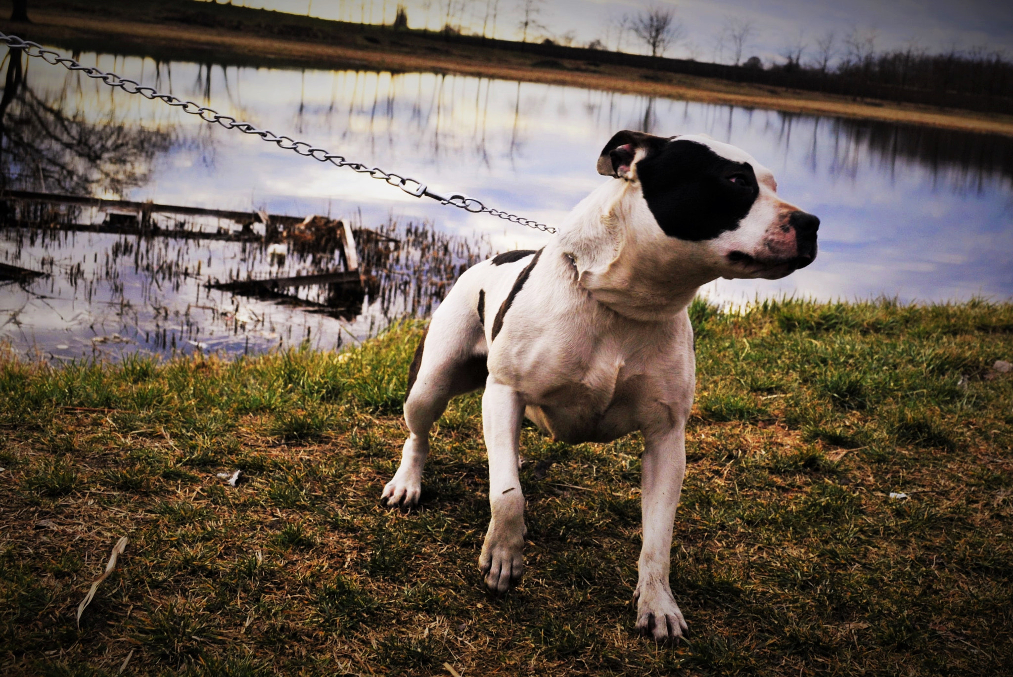 Nikon D300 sample photo. Gal photography