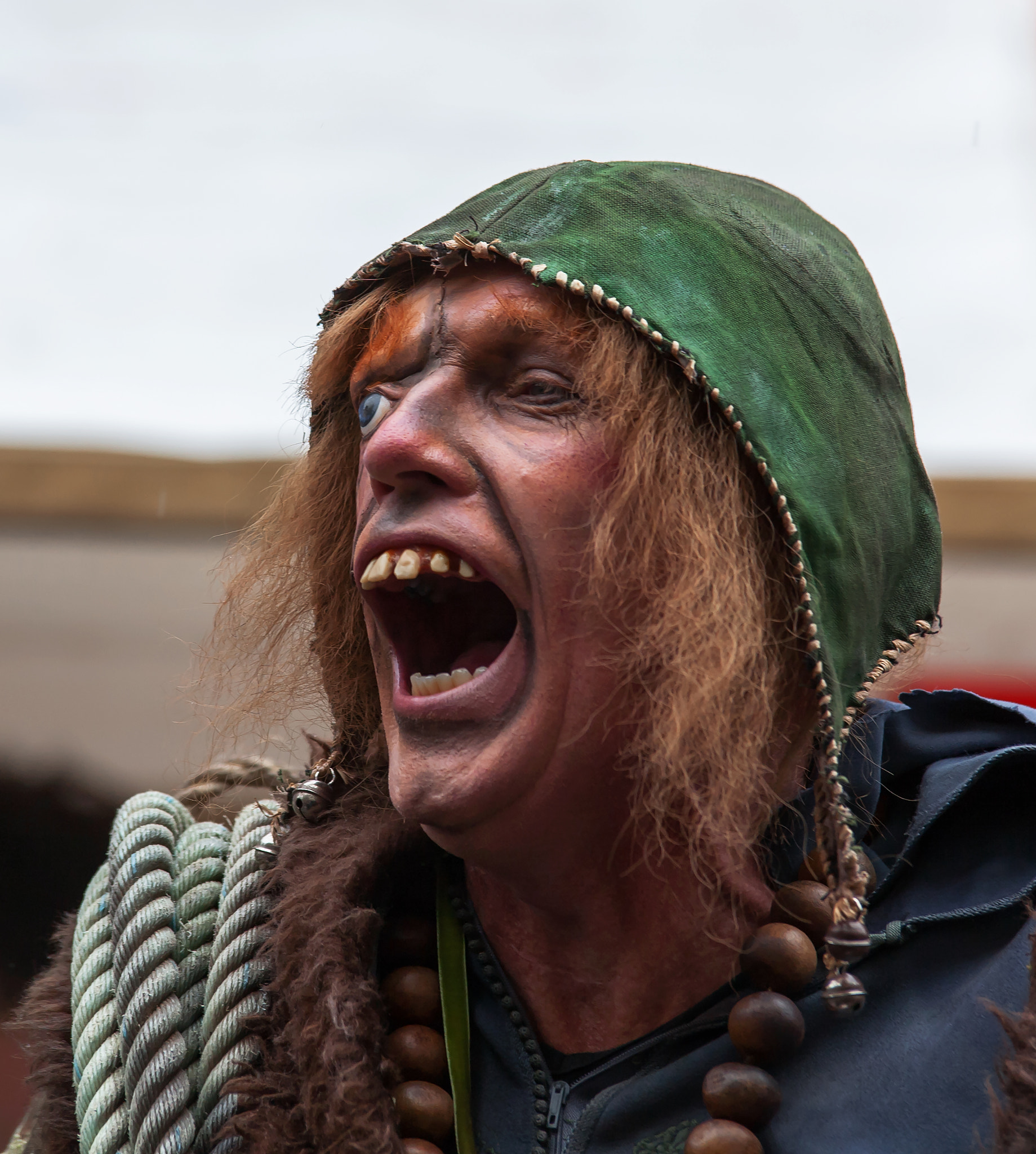 Canon EOS 5D sample photo. Hunchback of woerden photography