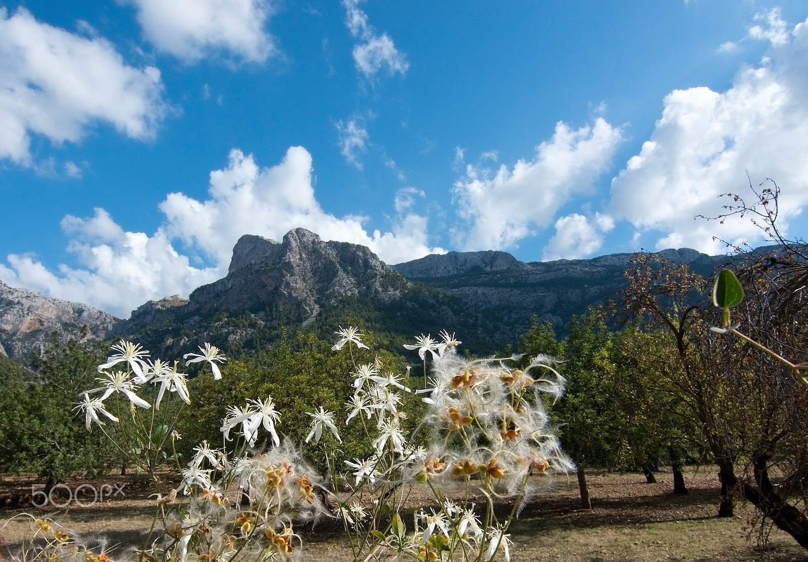 Nikon D7100 sample photo. Autumn landscape fornalutx mallorca photography