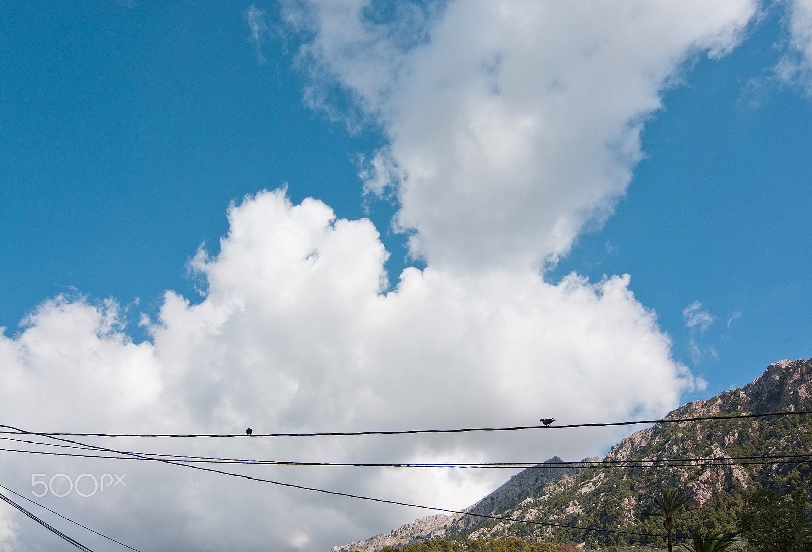 Nikon AF-S Nikkor 28-70mm F2.8 ED-IF sample photo. Birds on telephone line mallorca photography