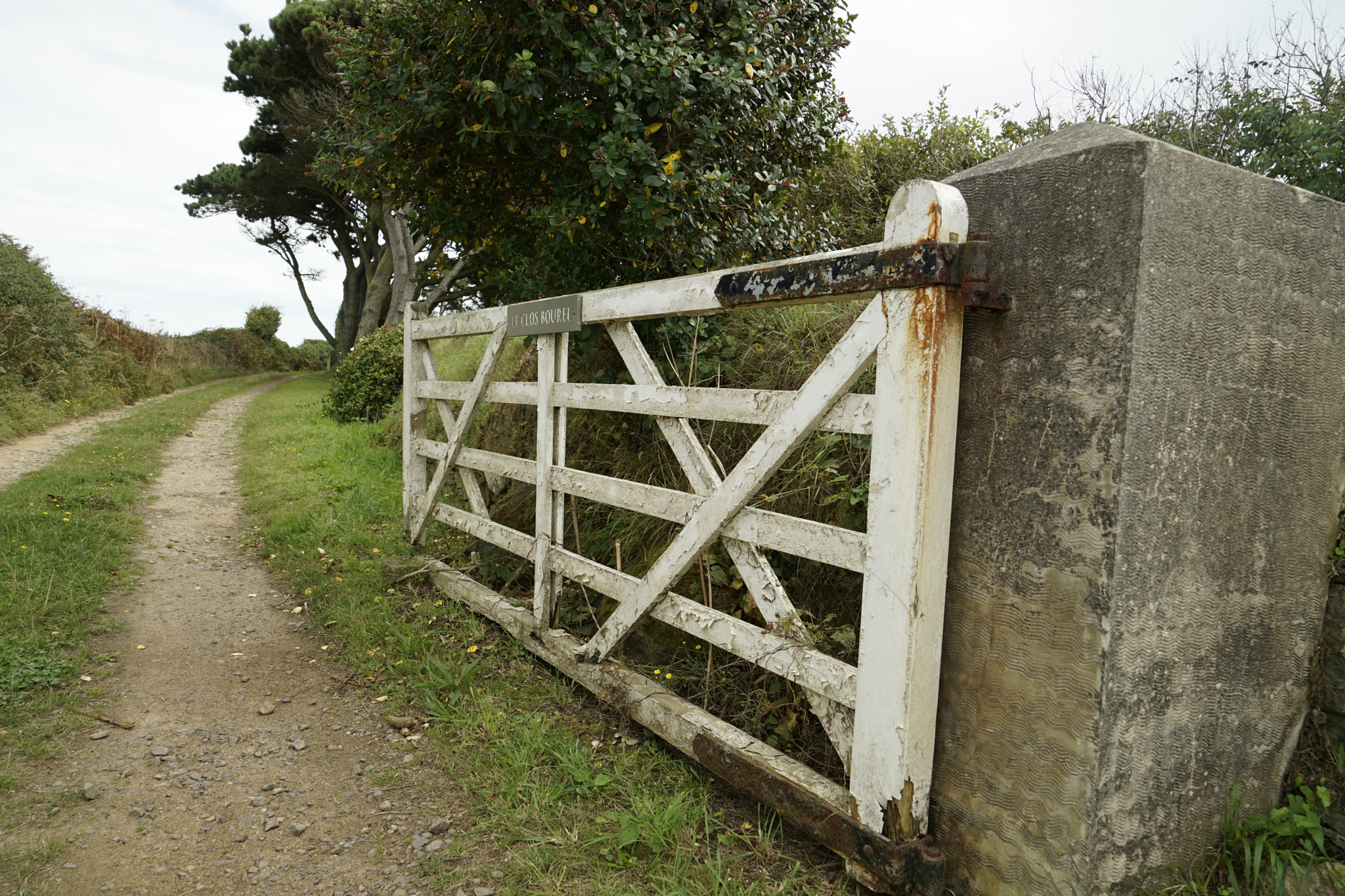 Sony FE 24-240mm F3.5-6.3 OSS sample photo. The way to ........... photography