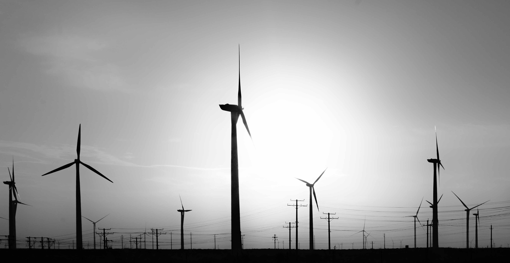 Sony a7R II + Canon EF 50mm F1.2L USM sample photo. Windmill cage mustang, eight anzhu tour. photography