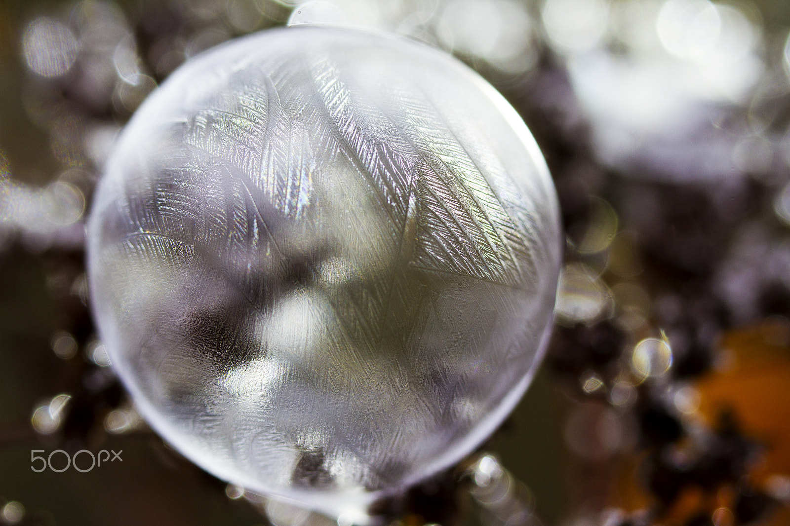 Canon EOS 7D + Canon EF 100mm F2.8L Macro IS USM sample photo. Gefrorene rundheit frozen roundness photography