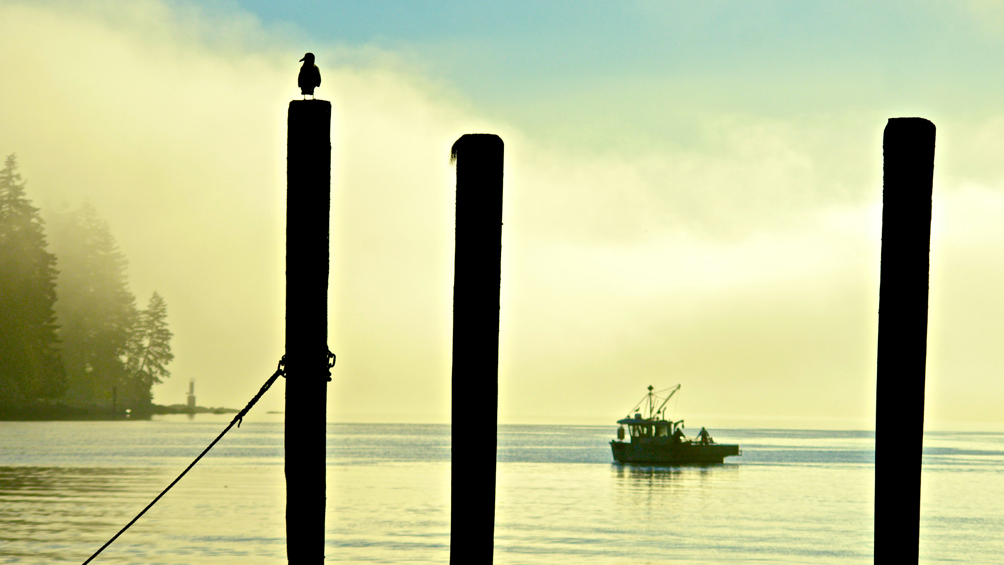 Pentax K-5 sample photo. Watching the fog roll in photography