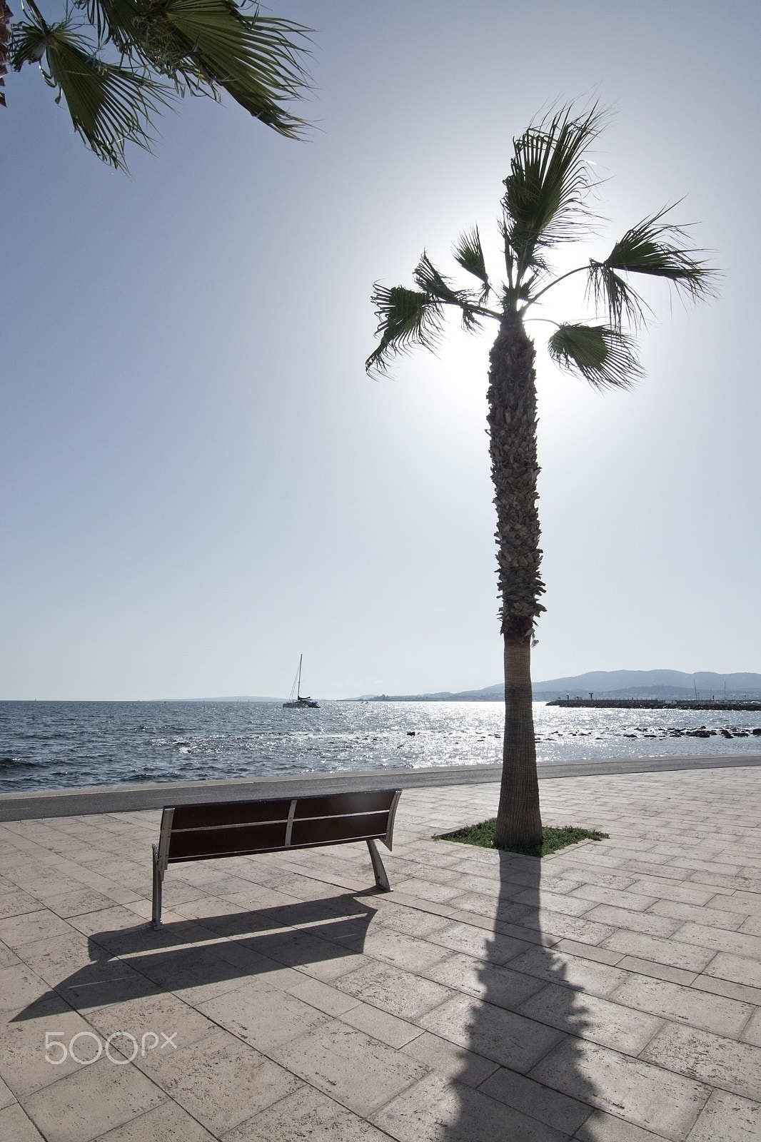 Nikon D7100 + Nikon AF Micro-Nikkor 200mm F4D ED-IF sample photo. Palm tree silhouette againt sunny blue sky photography