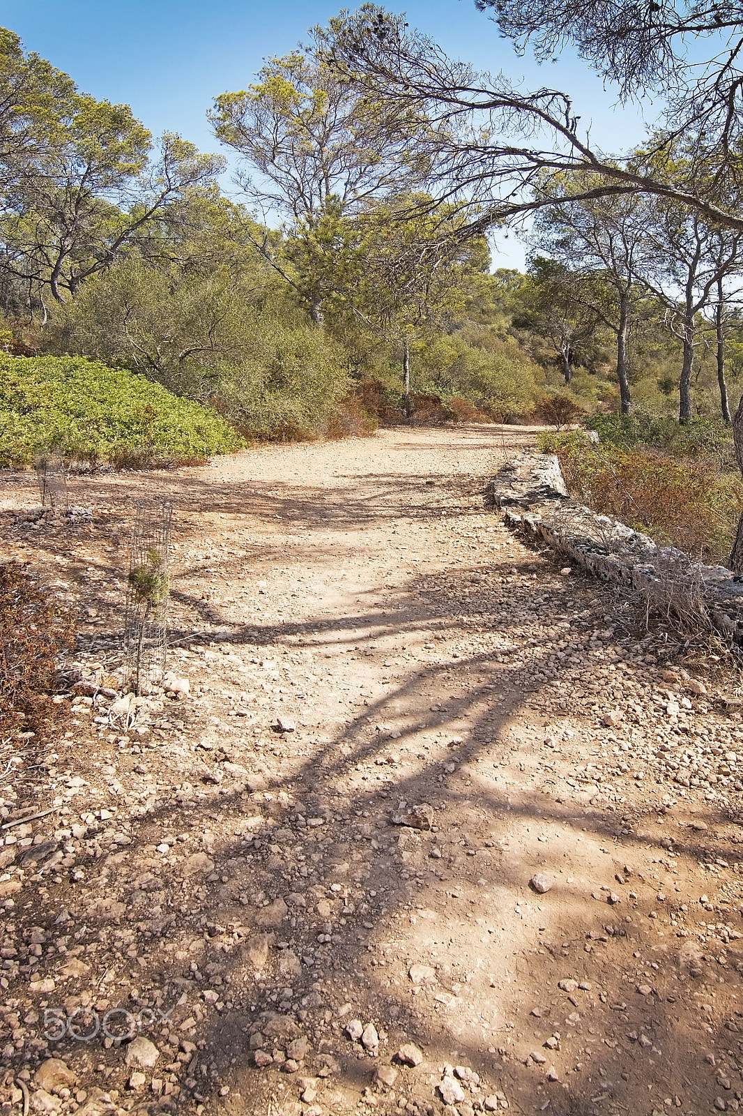 Sigma 28-300mm F3.5-6.3 DG Macro sample photo. Cala mondrago natural reserve park photography