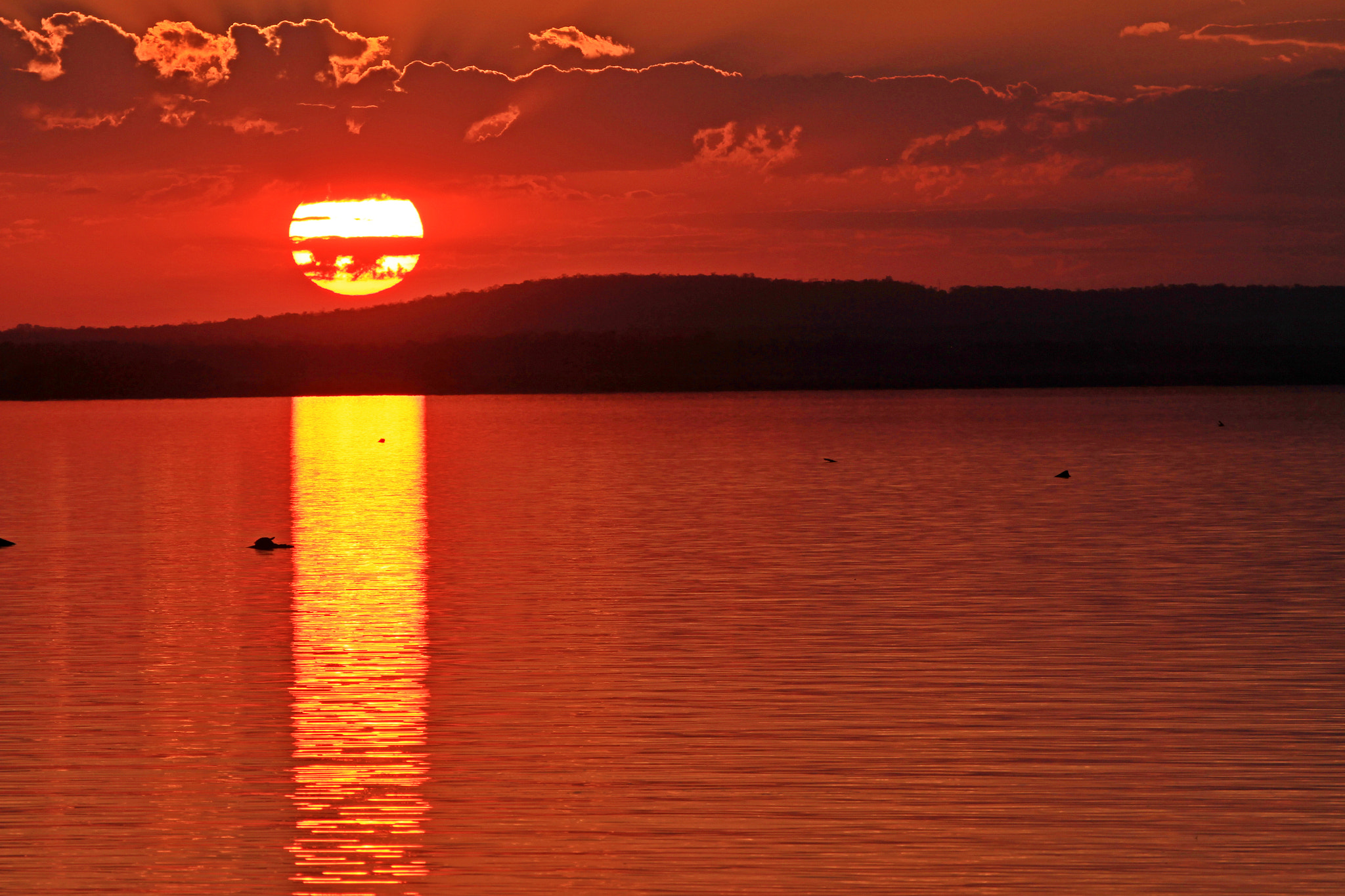 Canon EF 100-400mm F4.5-5.6L IS USM sample photo. Setting fire to the water photography