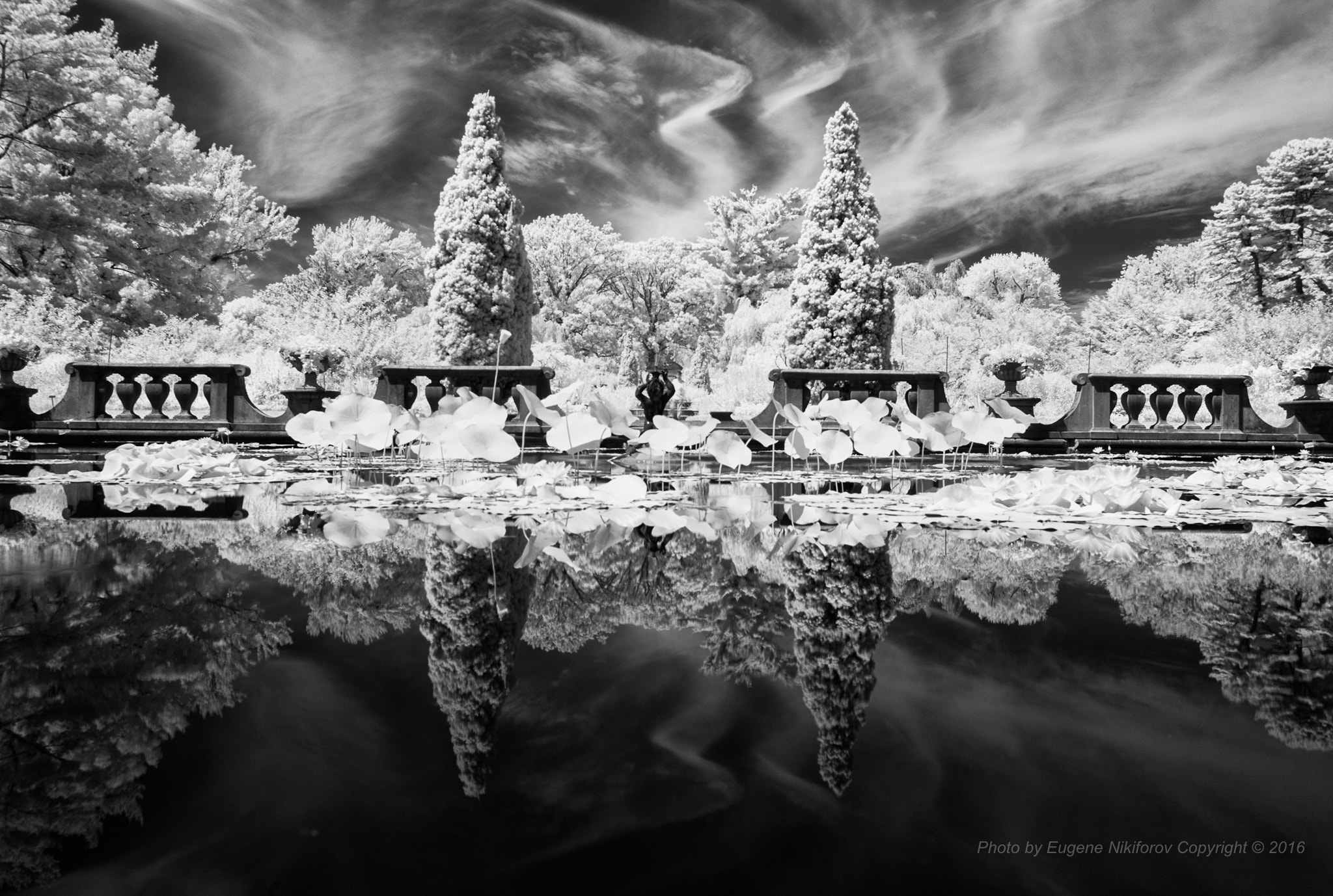 Leica Tri-Elmar-M 16-18-21mm F4 ASPH sample photo. Mirror pool, old westbury gardens (infrared) photography