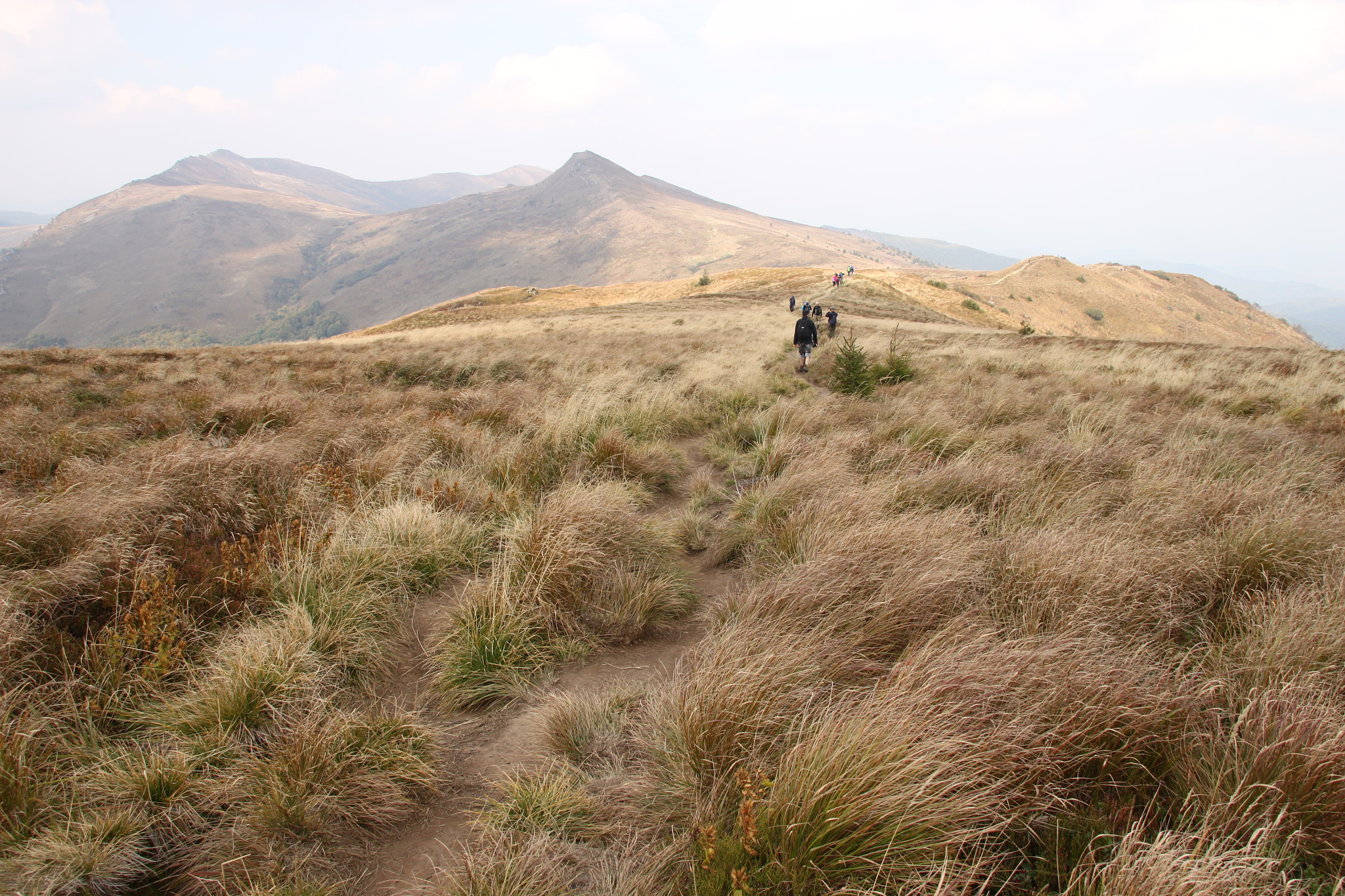 Sigma 18-200mm f/3.5-6.3 DC OS sample photo. Bieszczady photography