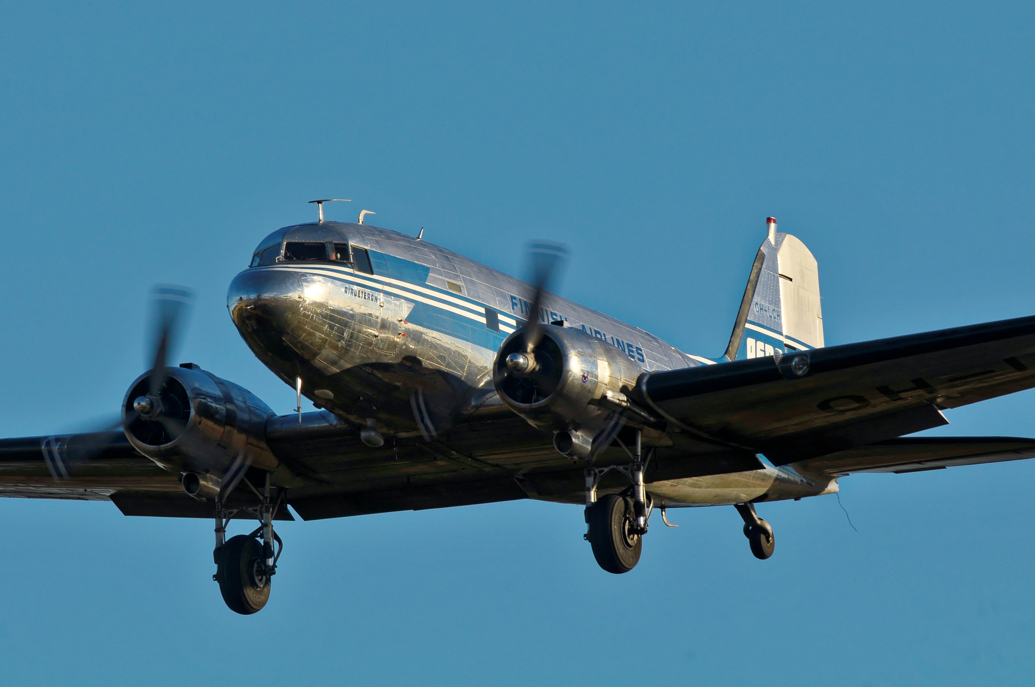 Nikon D300S + Nikon AF-S Nikkor 300mm F4D ED-IF sample photo. The landing old lady photography