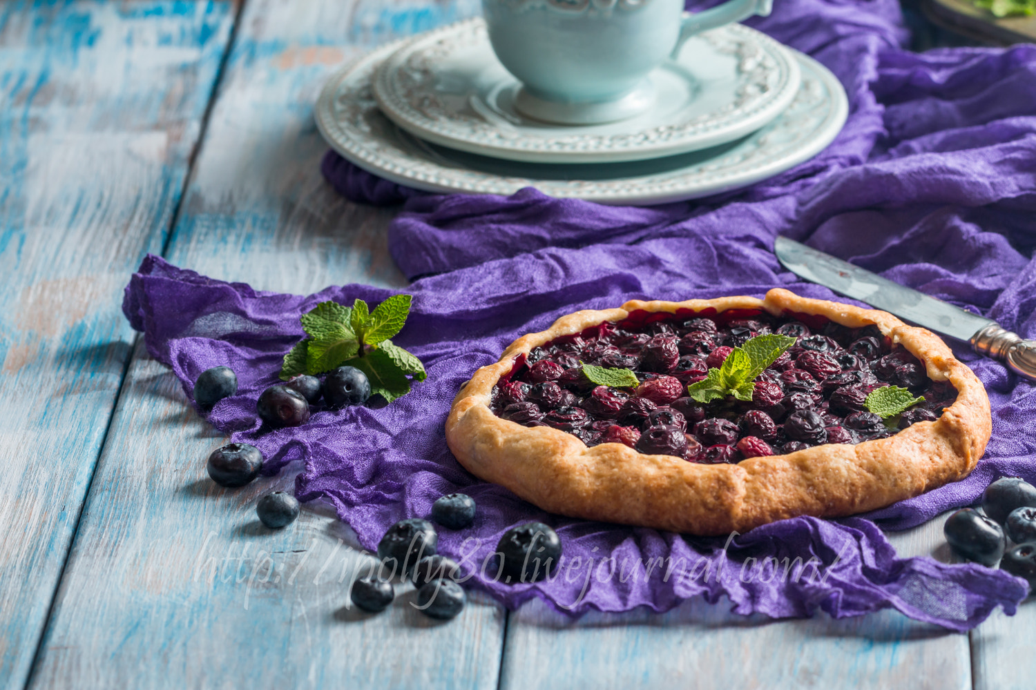 Canon EOS 70D + Canon EF 100mm F2.8L Macro IS USM sample photo. Homemade blueberry galette photography