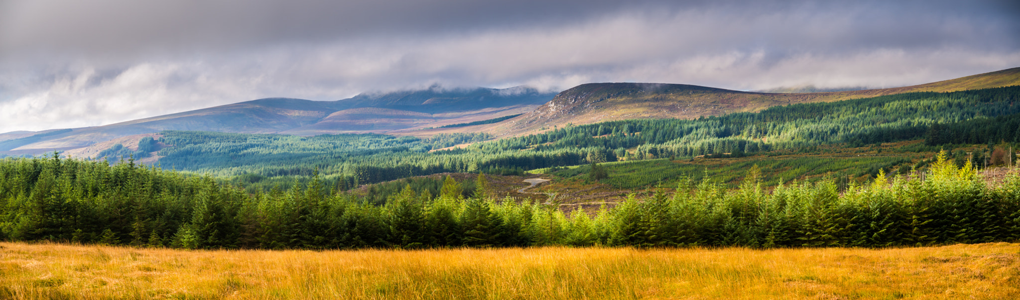 Nikon D610 sample photo. Wicklow mountains photography