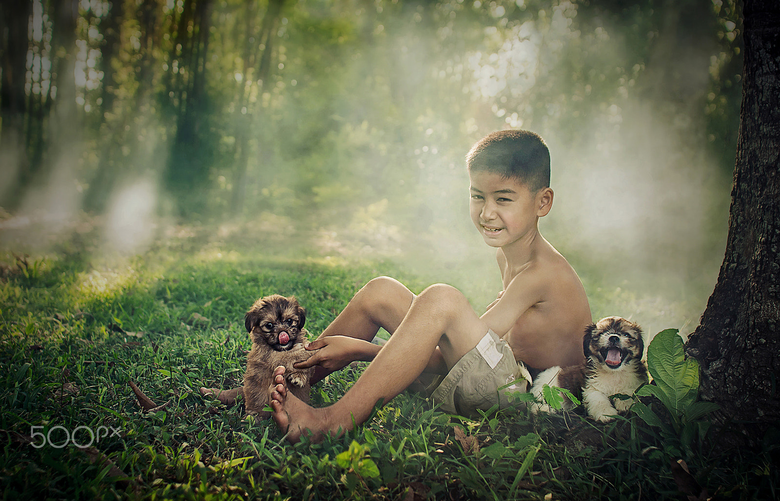 Sigma 30mm F1.4 EX DC HSM sample photo. Lovely photography