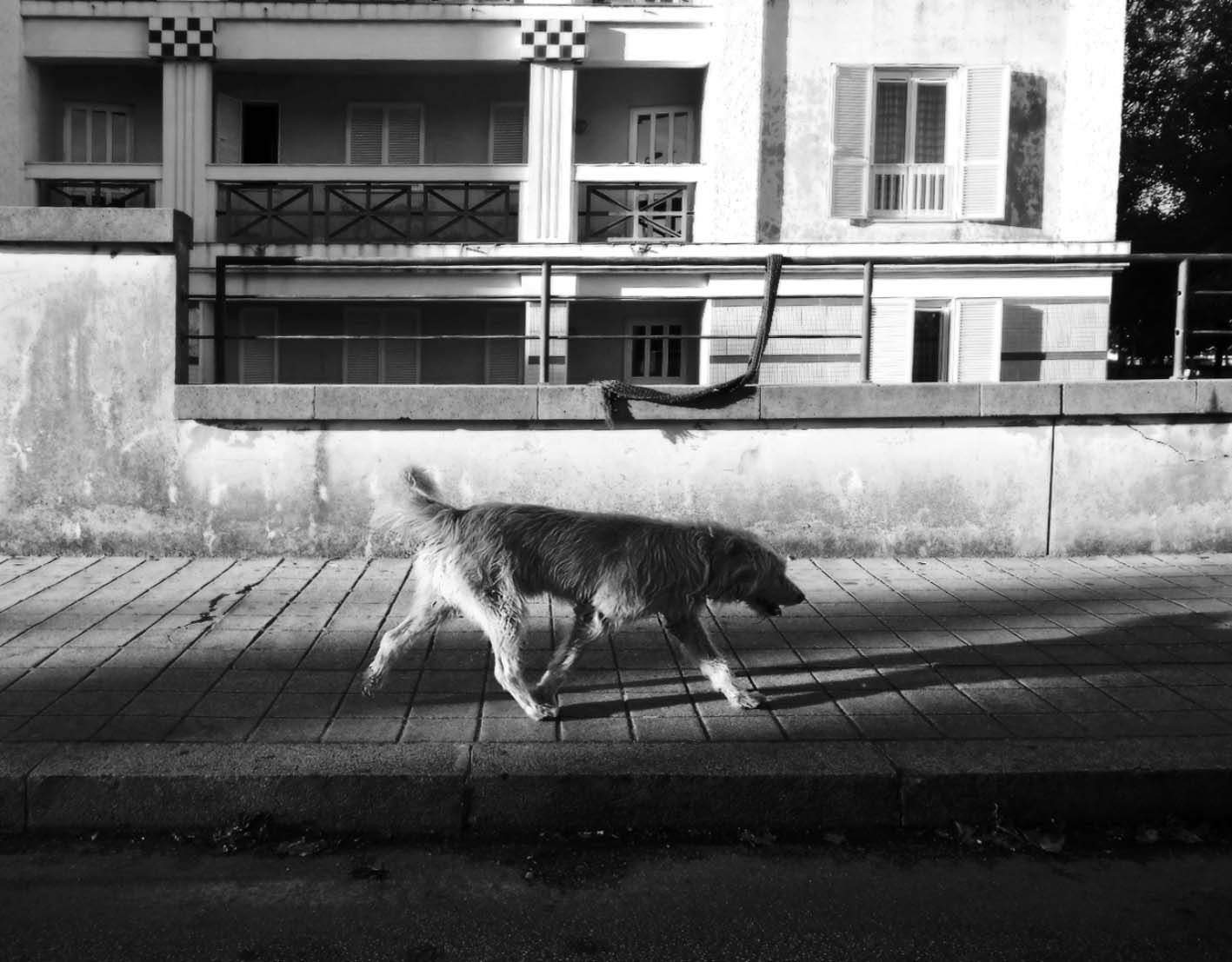 Olympus SP-720UZ sample photo. Homless photography