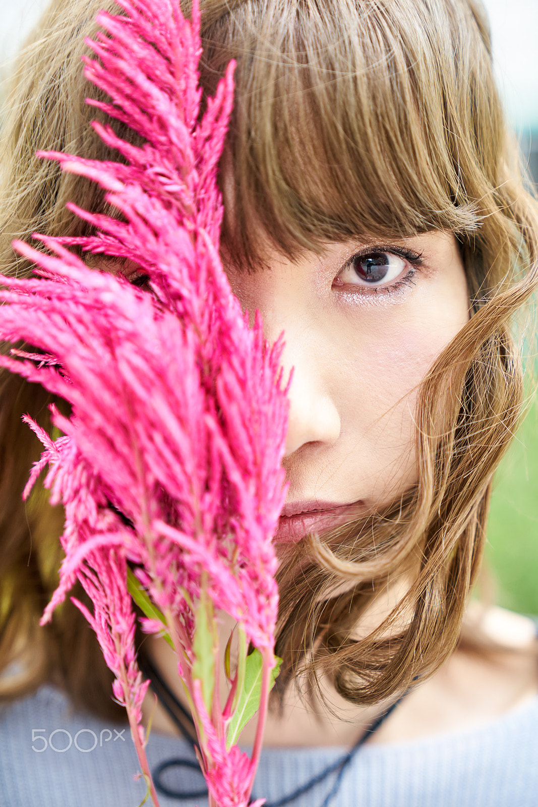 Sony FE 24-70mm F2.8 GM sample photo. Cockscomb photography