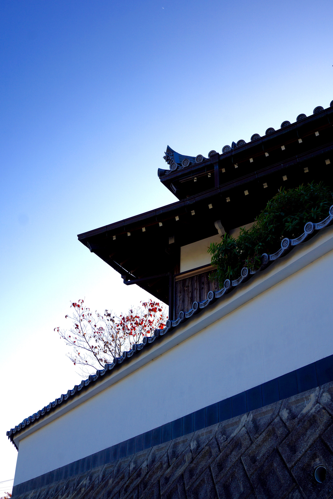 Sony Alpha NEX-7 sample photo. Fumonji temple photography