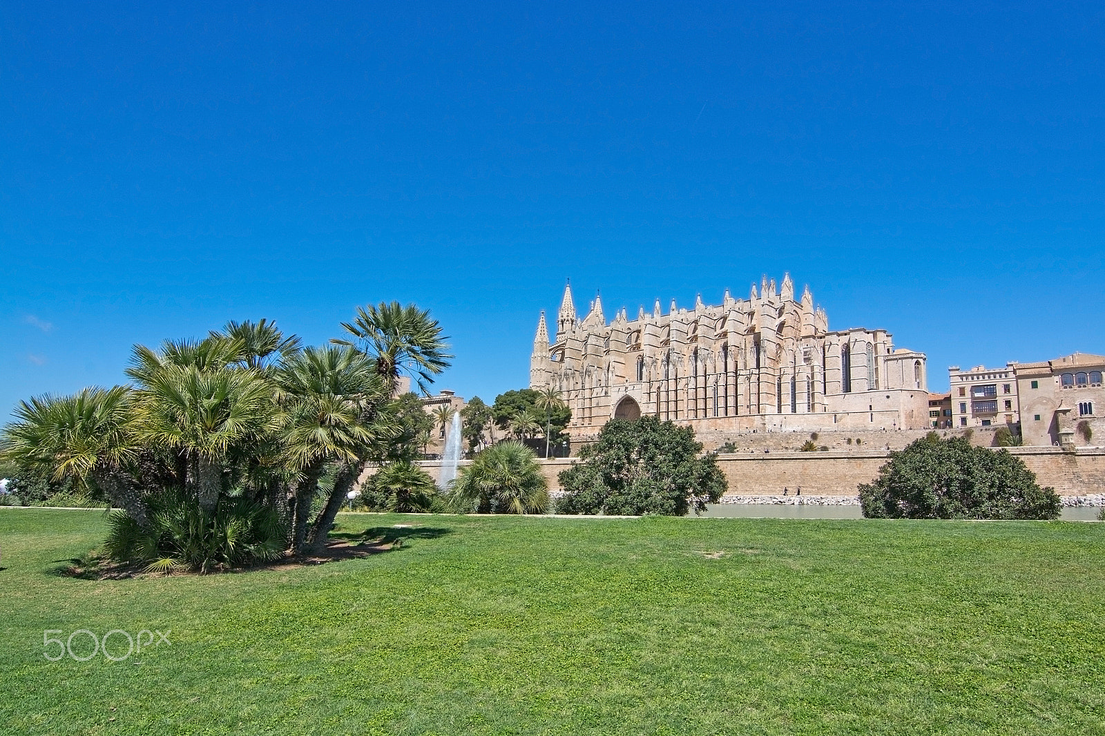 Nikon D7100 + AF Zoom-Nikkor 28-70mm f/3.5-4.5D sample photo. La seu cathedral and green grass space photography