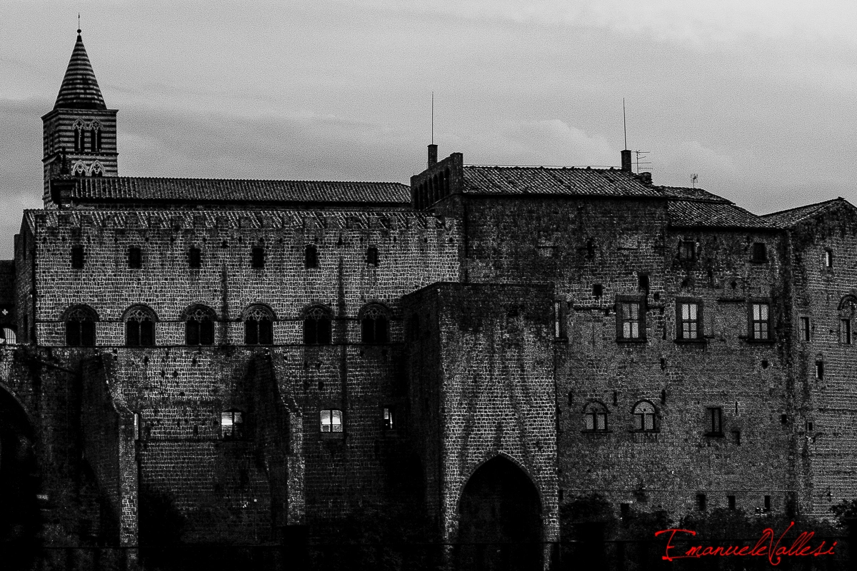 Canon EOS 40D sample photo. Maestosità photography