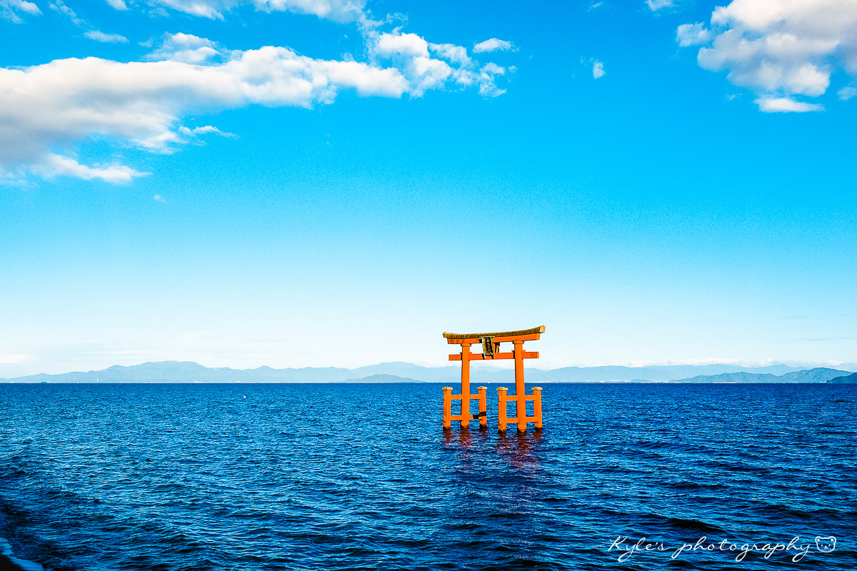 Olympus OM-D E-M1 sample photo. 白鬚神社 photography