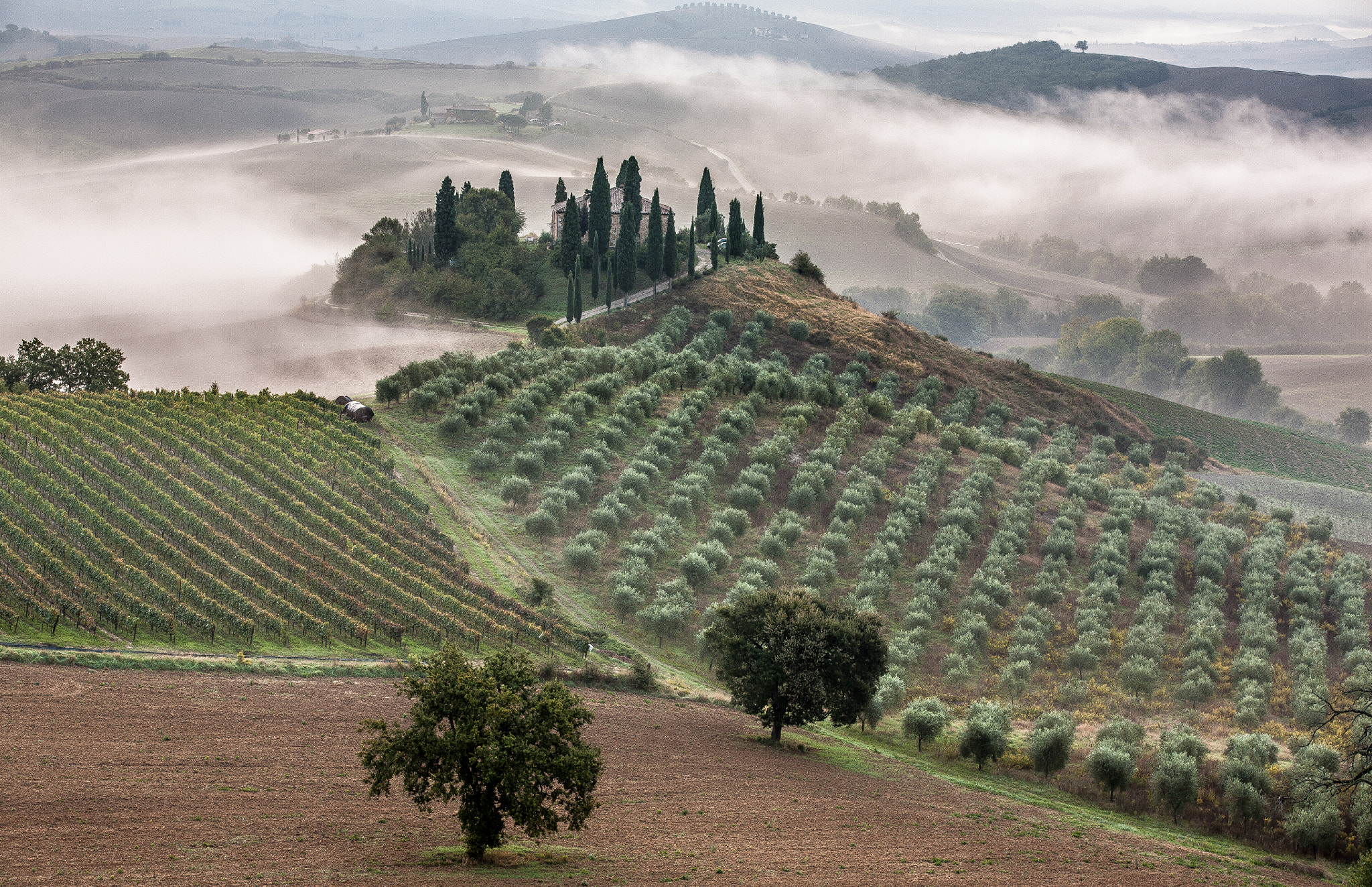 Canon EOS 5D sample photo. Alba valdorcia photography