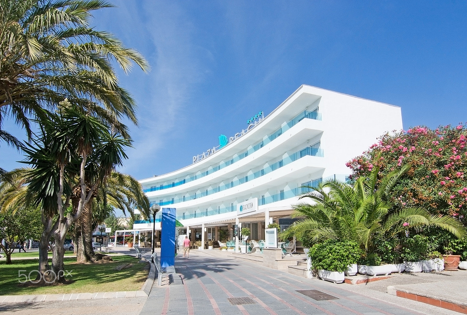 FSA-L2, EDG 65, 800mm F13 G sample photo. Plaza beach hotel photography