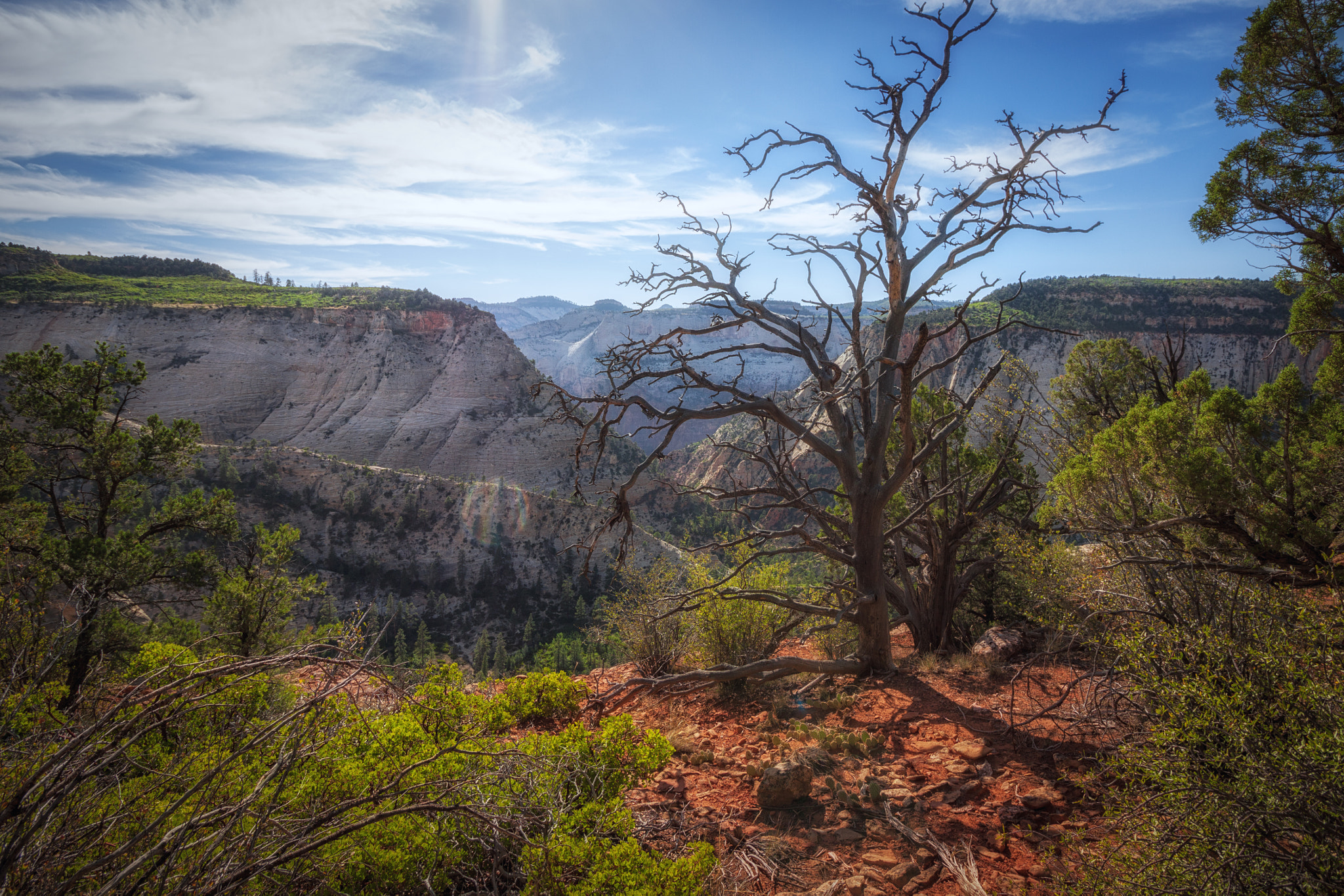 Canon EOS 50D + Canon EF-S 10-18mm F4.5–5.6 IS STM sample photo. Top of the east rim trail photography