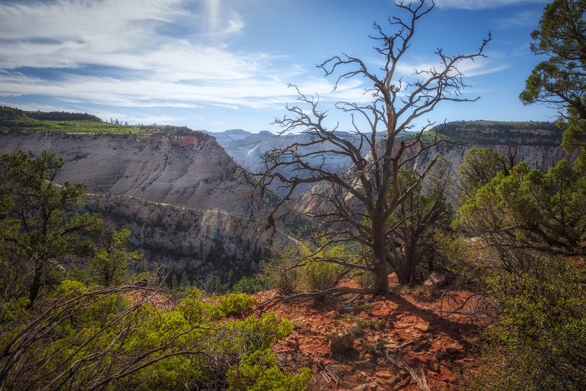 Canon EOS 50D sample photo. Top of the east rim trail photography
