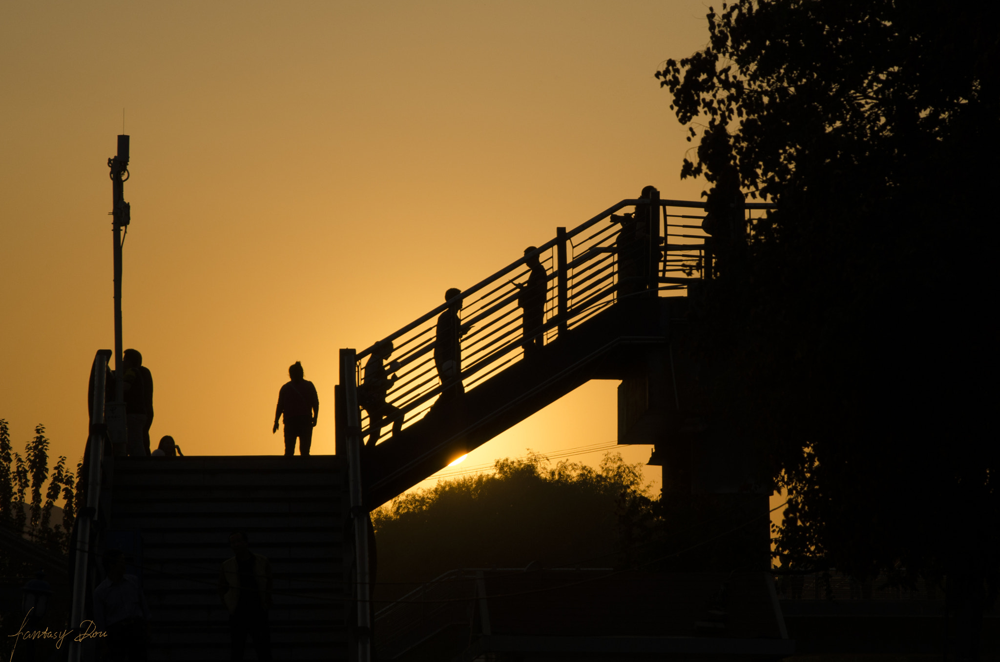 Nikon AF Nikkor 24-85mm F2.8-4D IF sample photo. Gloaming photography
