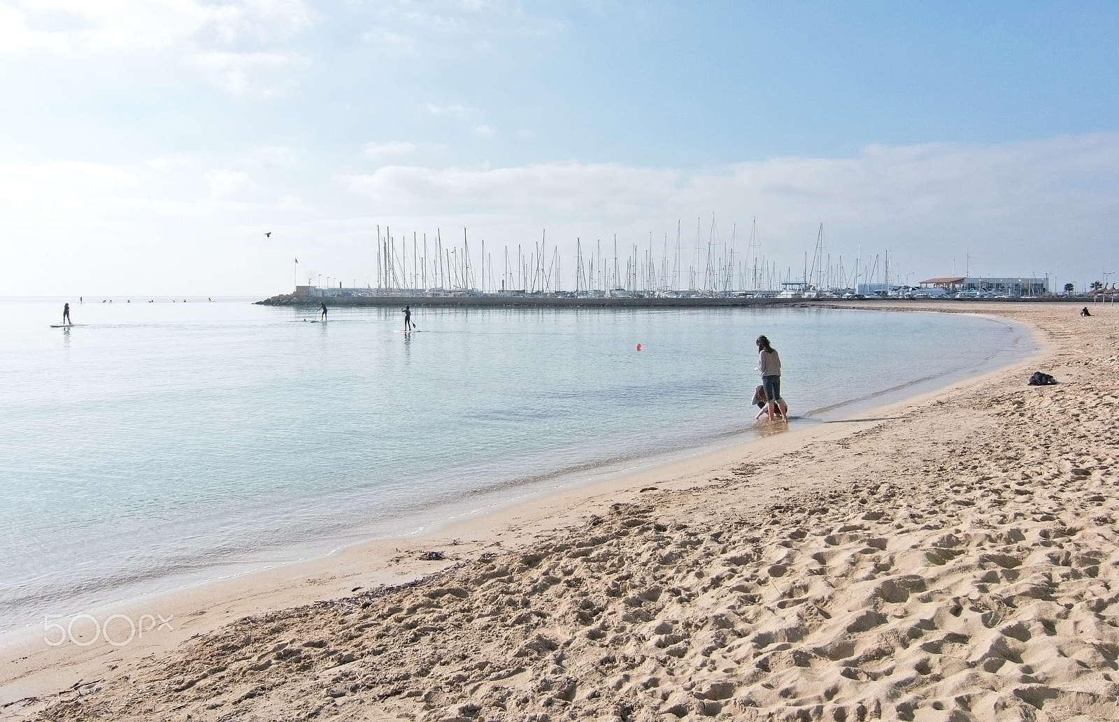 Nikon D7100 sample photo. Flock of seagulls and stand up paddle surfers photography