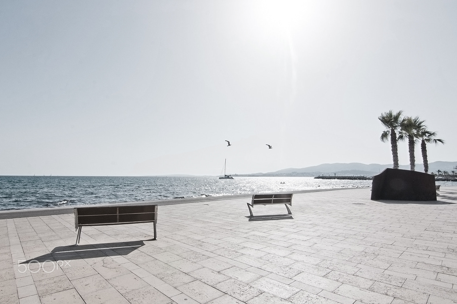 Nikon D7100 sample photo. Park benches molinar photography