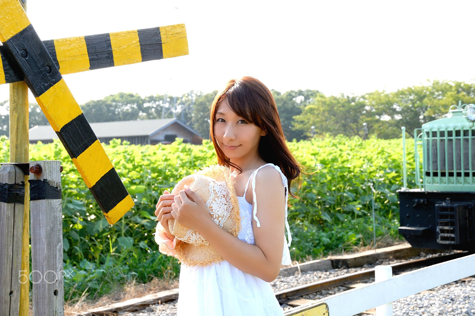 Nikon D200 sample photo. Sunflower field photography