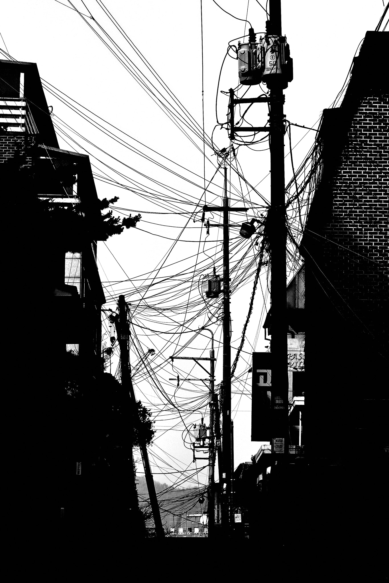 Canon EF-S 17-85mm F4-5.6 IS USM sample photo. Street in the morning photography