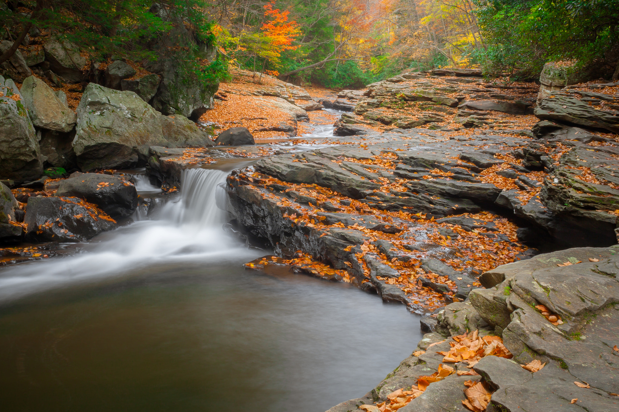 Canon EOS 400D (EOS Digital Rebel XTi / EOS Kiss Digital X) sample photo. Ohiopyle in the fall #2 photography